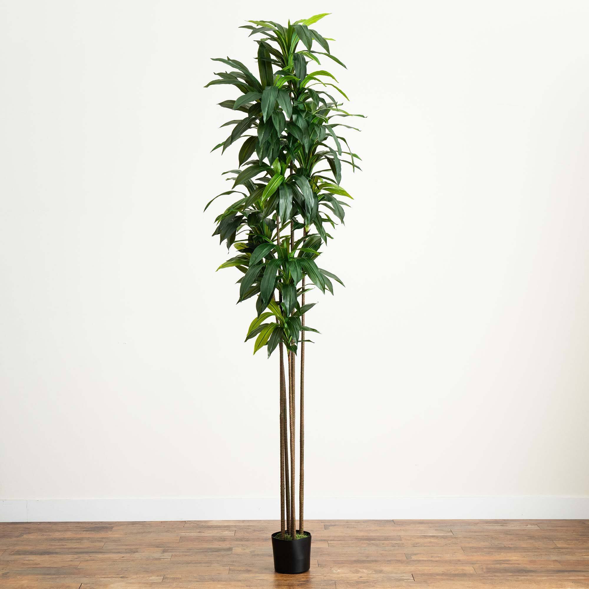 10ft. Potted Green Artificial Dracaena Tree with Real Touch Leaves