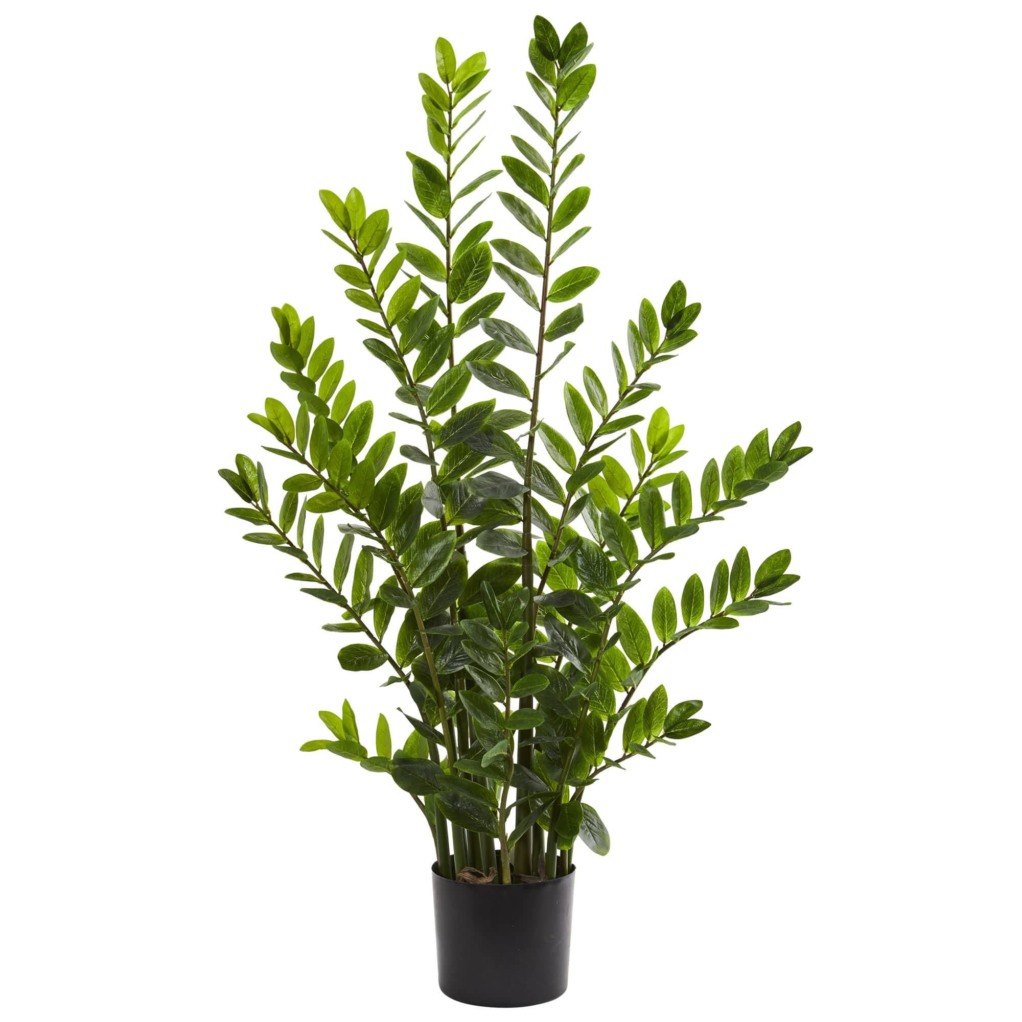 4ft. Potted ZZ Plant | Trees & Floor Plants | Michaels