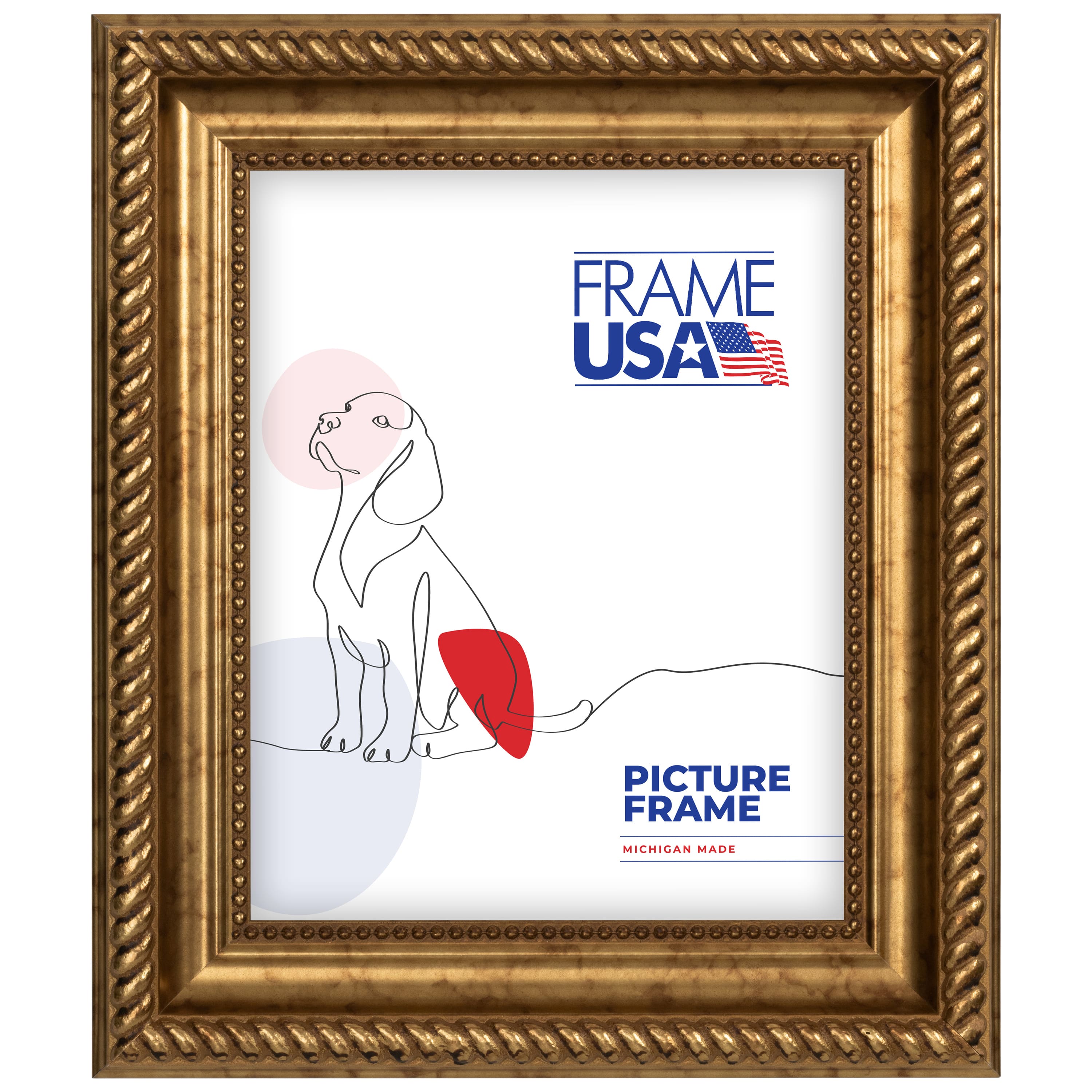 Frame USA Napolean Gold Single Image Picture Frame