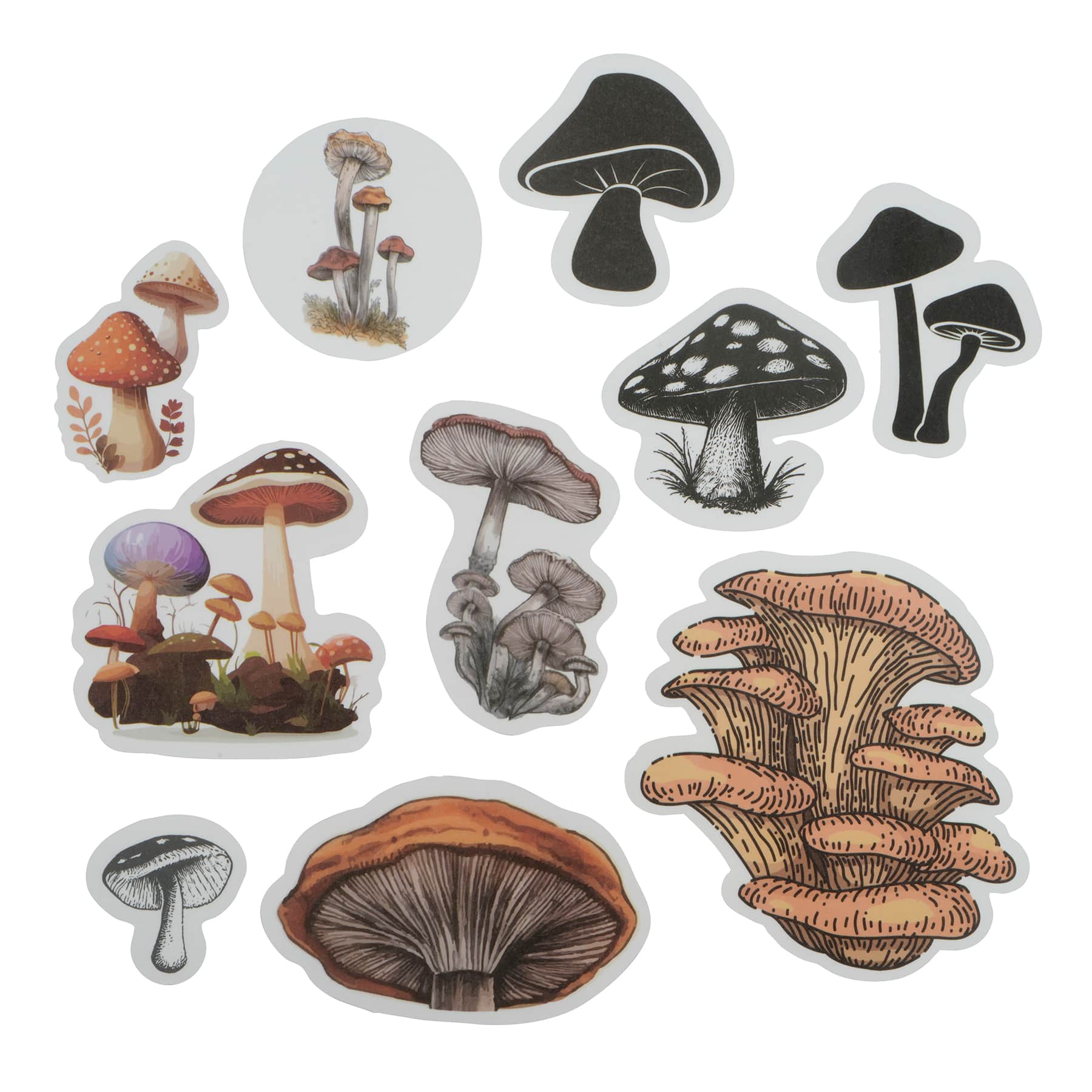 Mushroom Vellum Ephemera by Recollections™