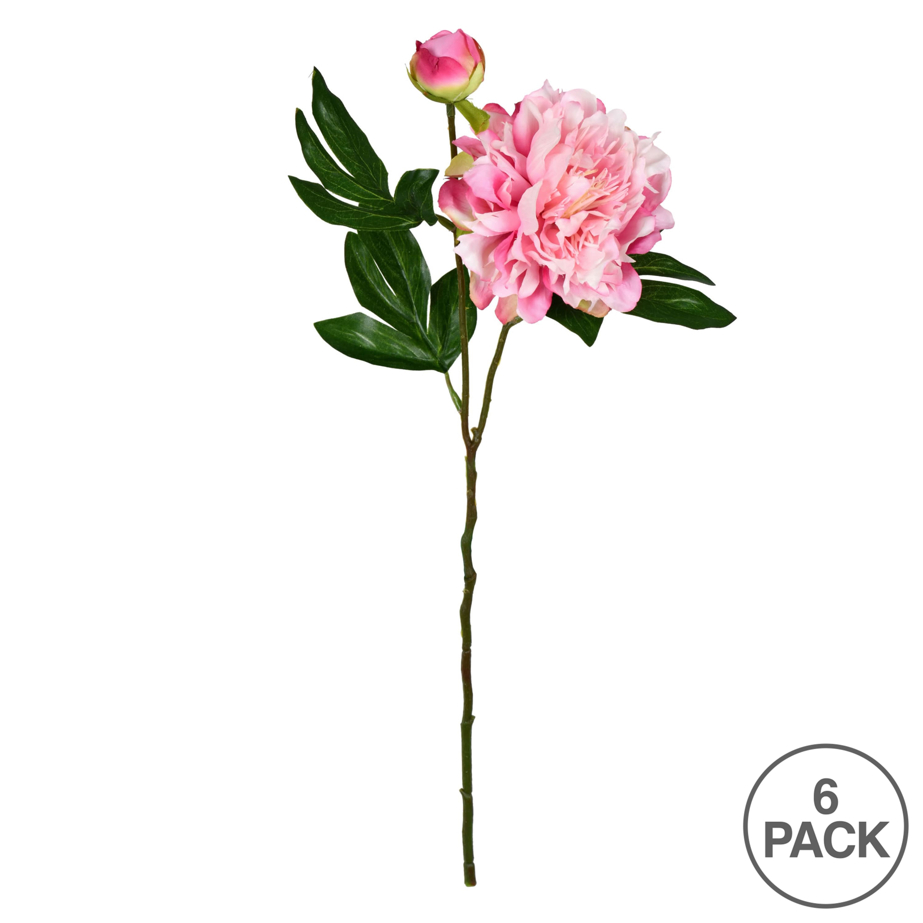 Light Pink Peony Stem, 6ct.