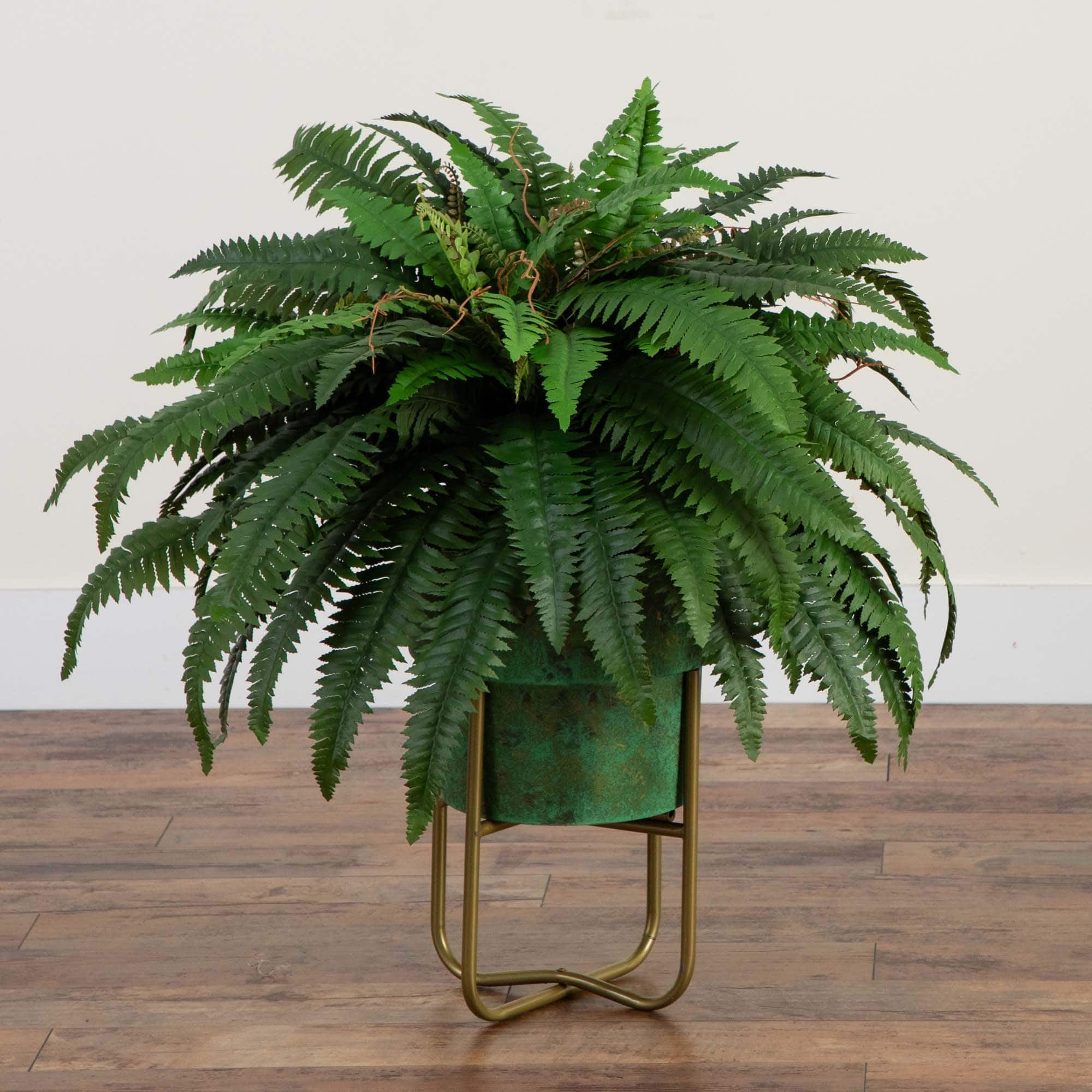2.5ft. Boston Fern in Patina Metal Planter with Stand