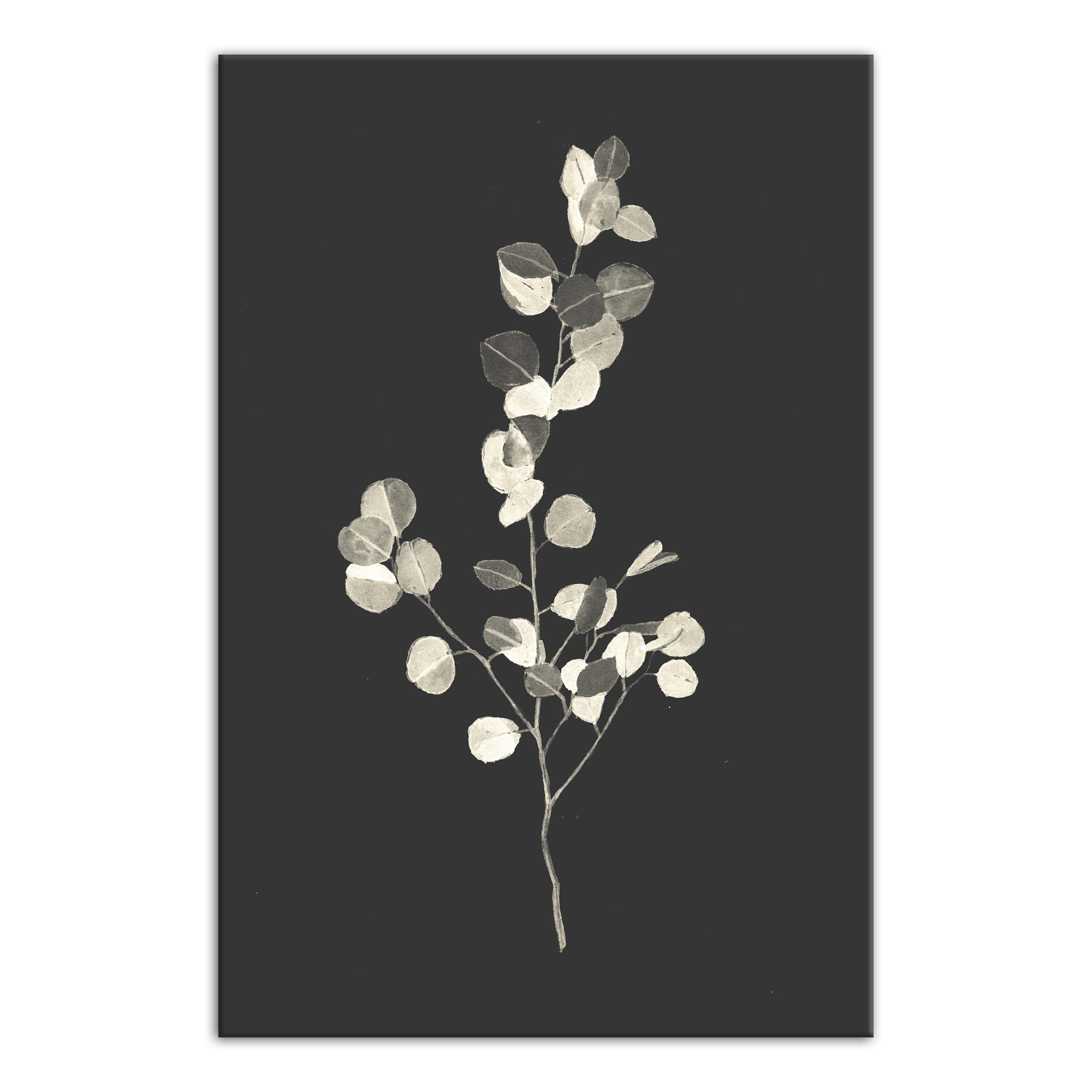 Cream Eucalyptus On Charcoal Canvas Wall Art