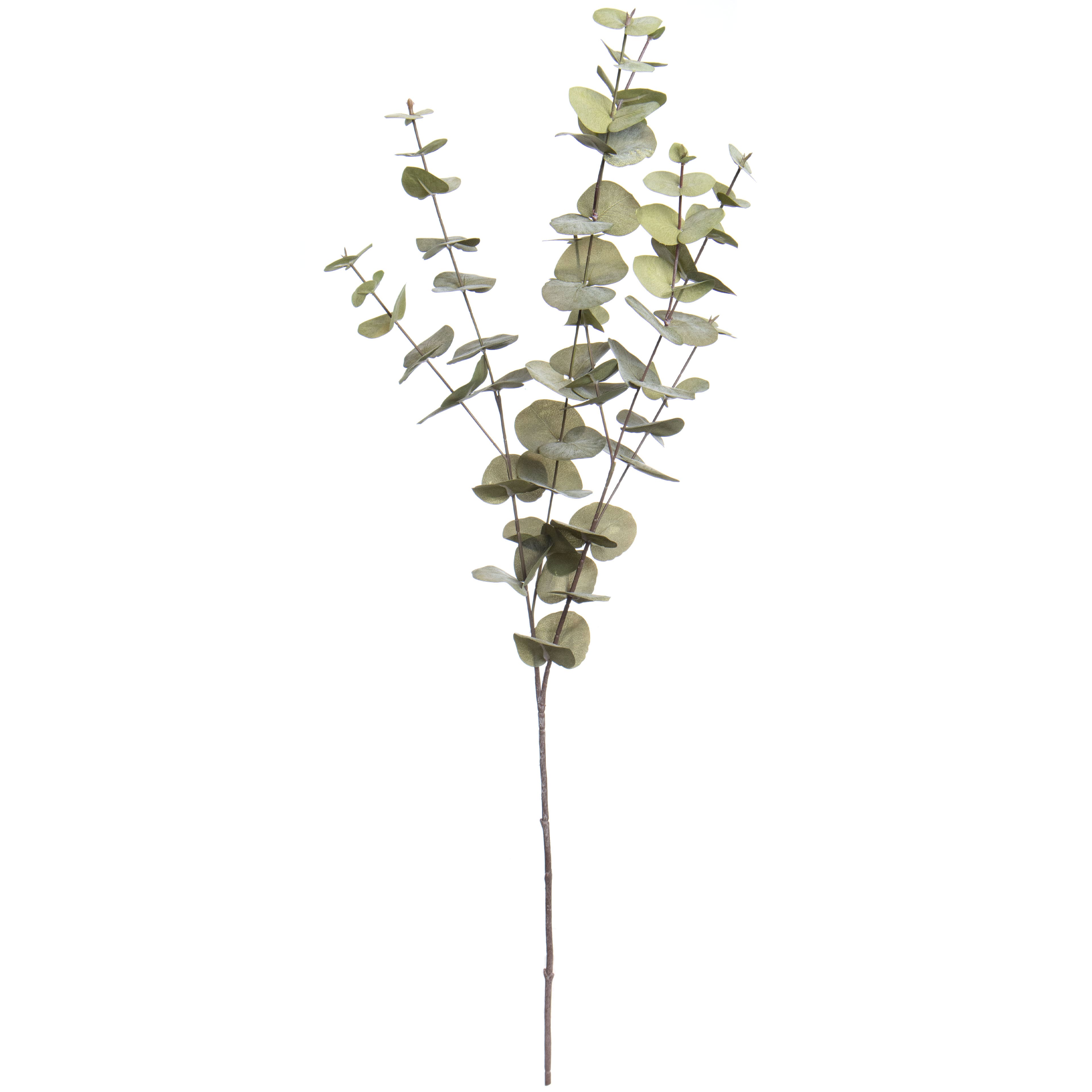 38&#x22; Light Green Eucalyptus Stem by Ashland&#xAE; Fall