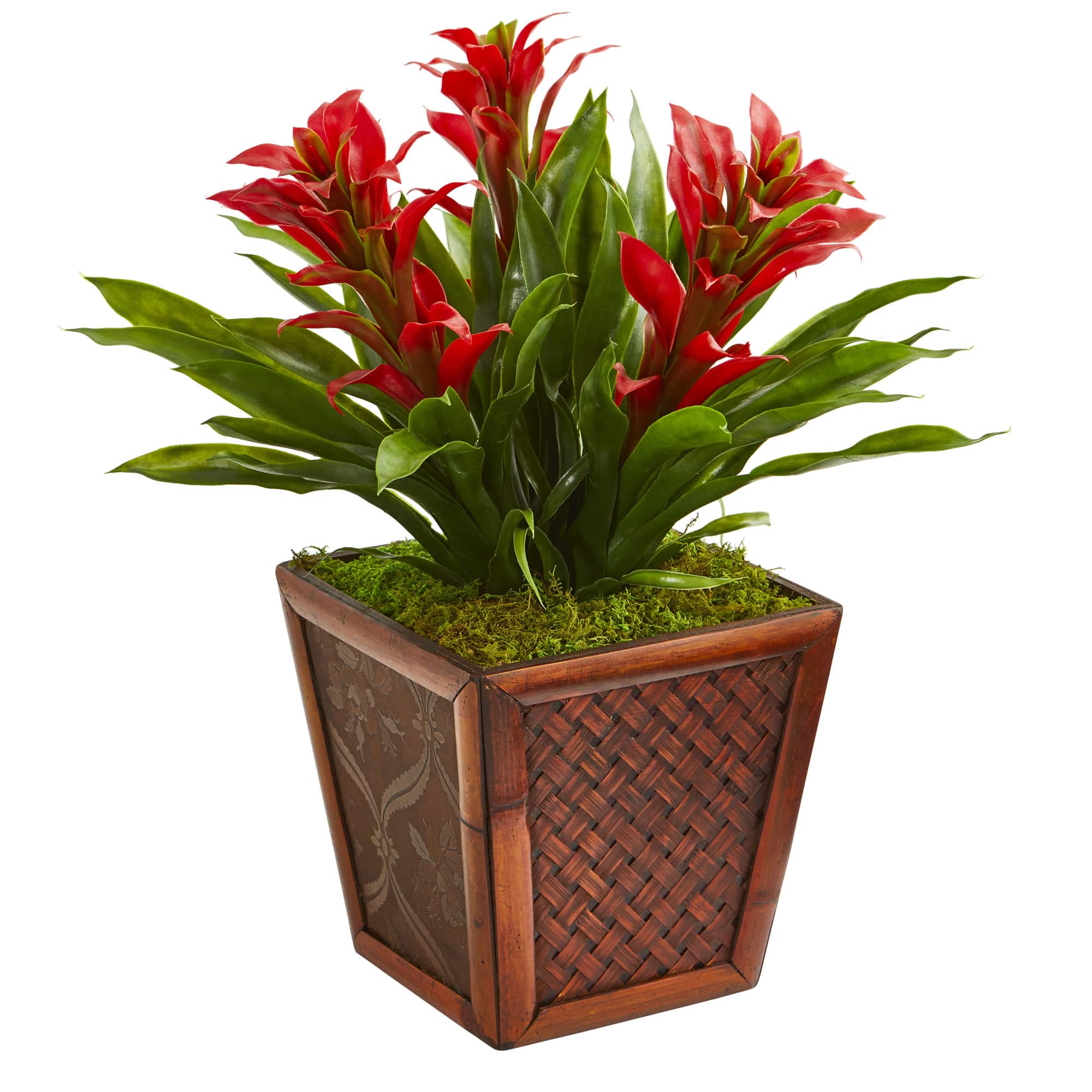 18'' Red Triple Bromeliad Plant in Brown Decorative Planter