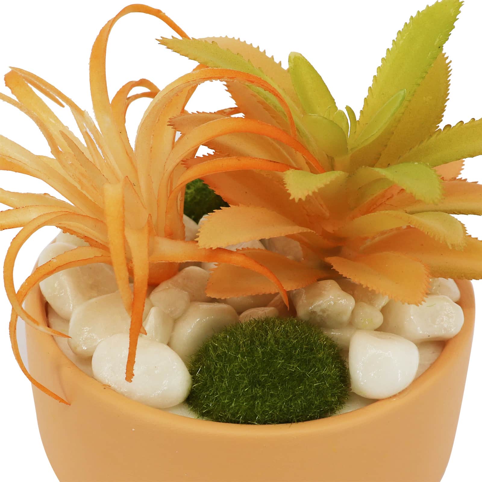 5&#x22; Succulent Mix in Coral Ceramic Pot by Ashland&#xAE;