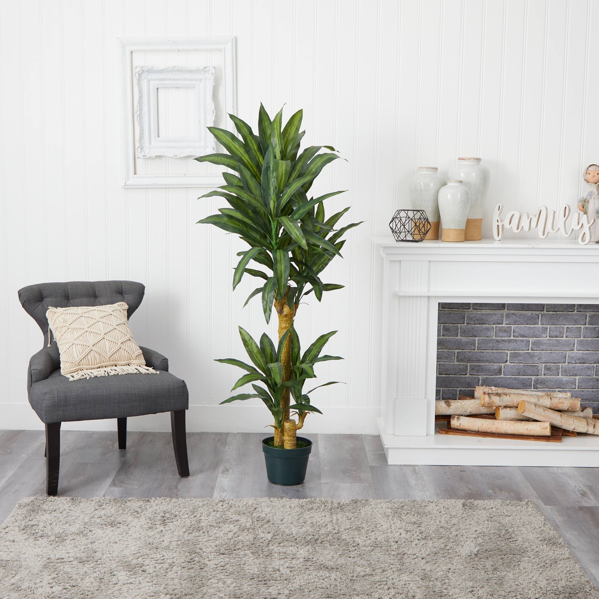 5ft. Potted Yucca Tree