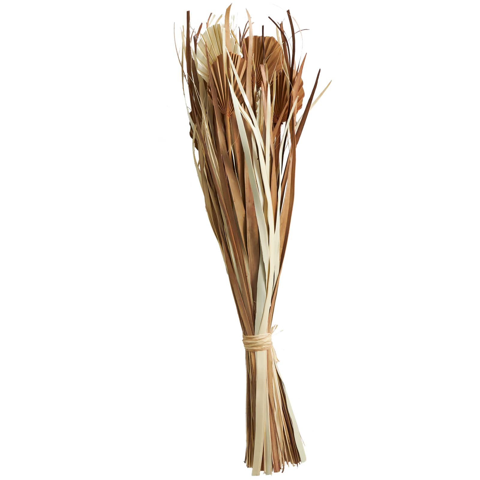Beige & Tan Dried Grass & Fan Palm Bundle