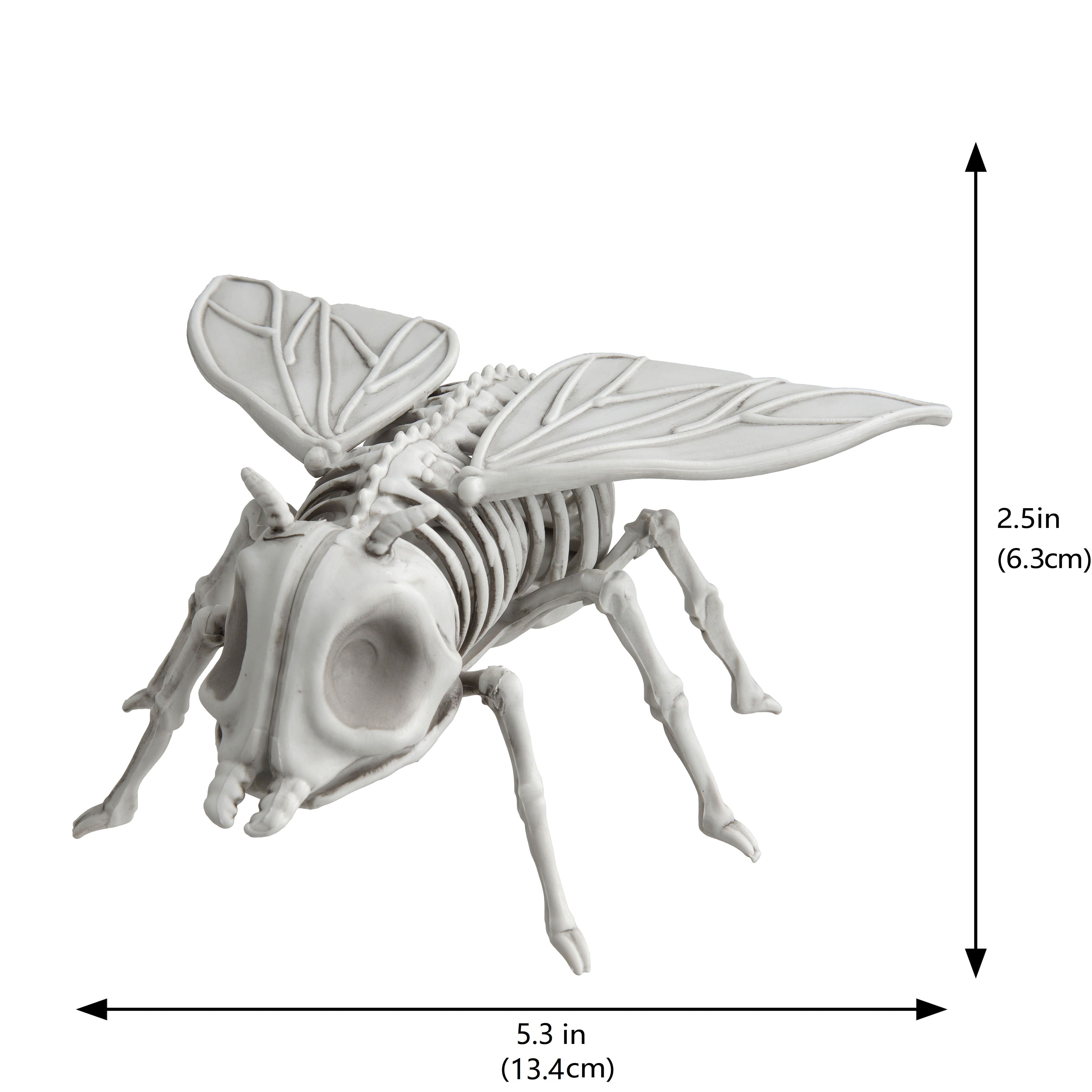 5.25&#x22; Fly Skeleton by Ashland&#xAE;