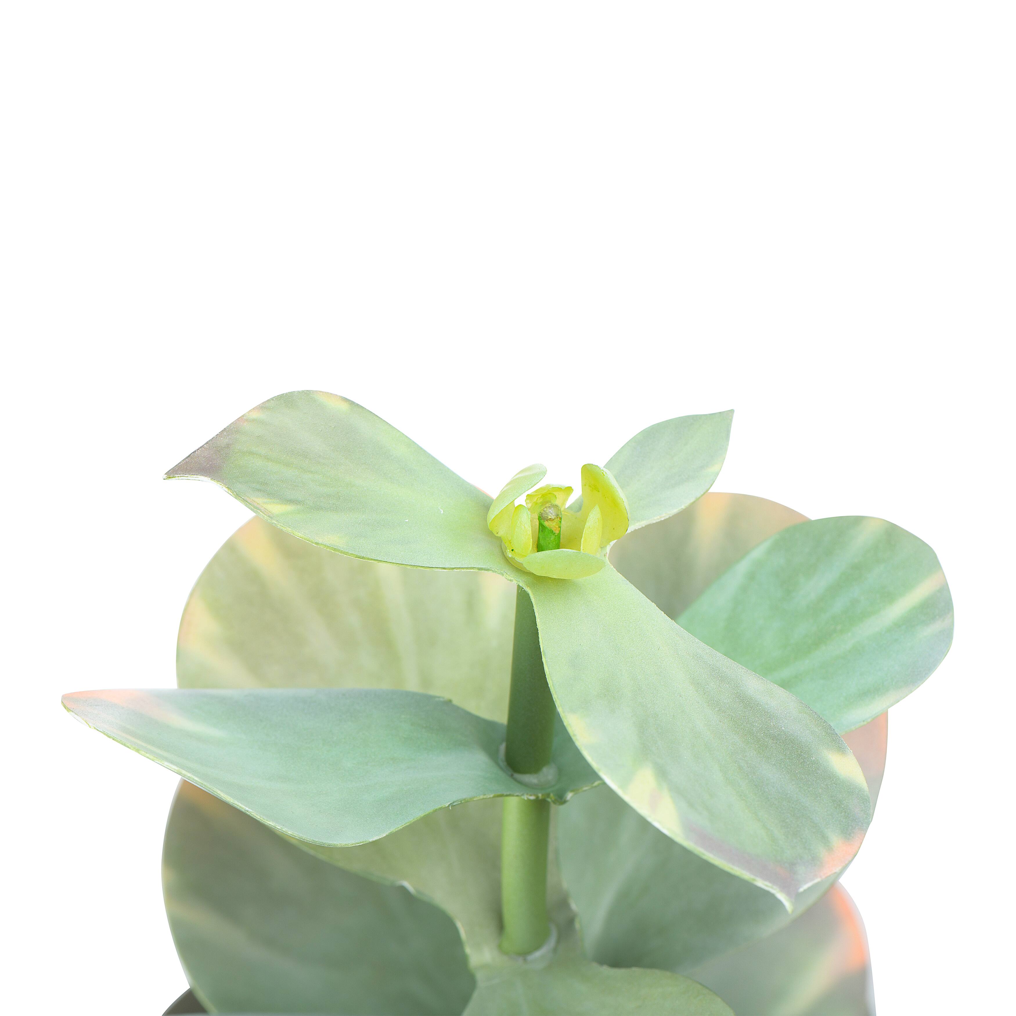 Hello Honey® 18" Faux Succulent in Terra Cotta Colored Pot