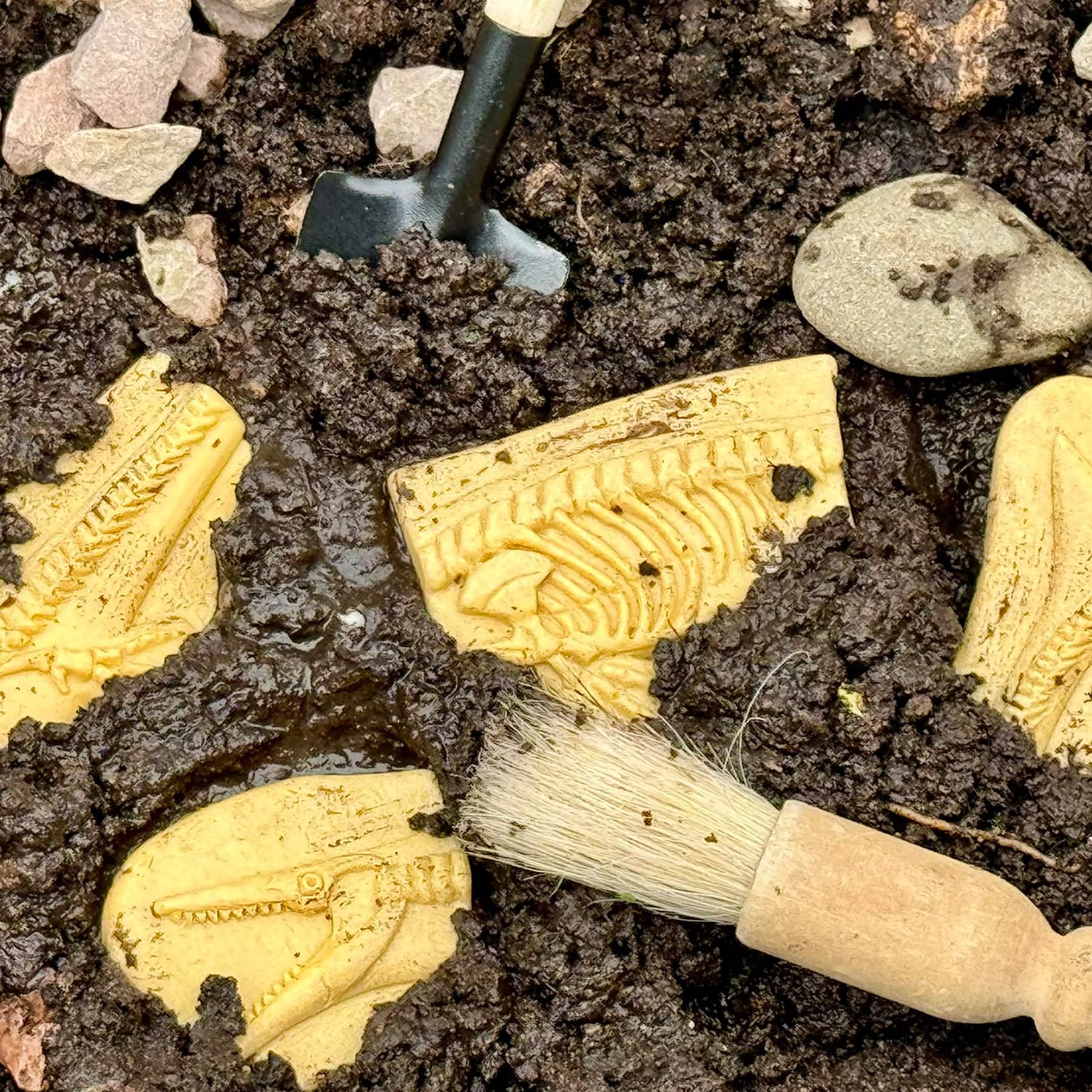 Yellow Door Dig & Discover Pliosaur & Stegosaurus Dinosaur Skeletons Set