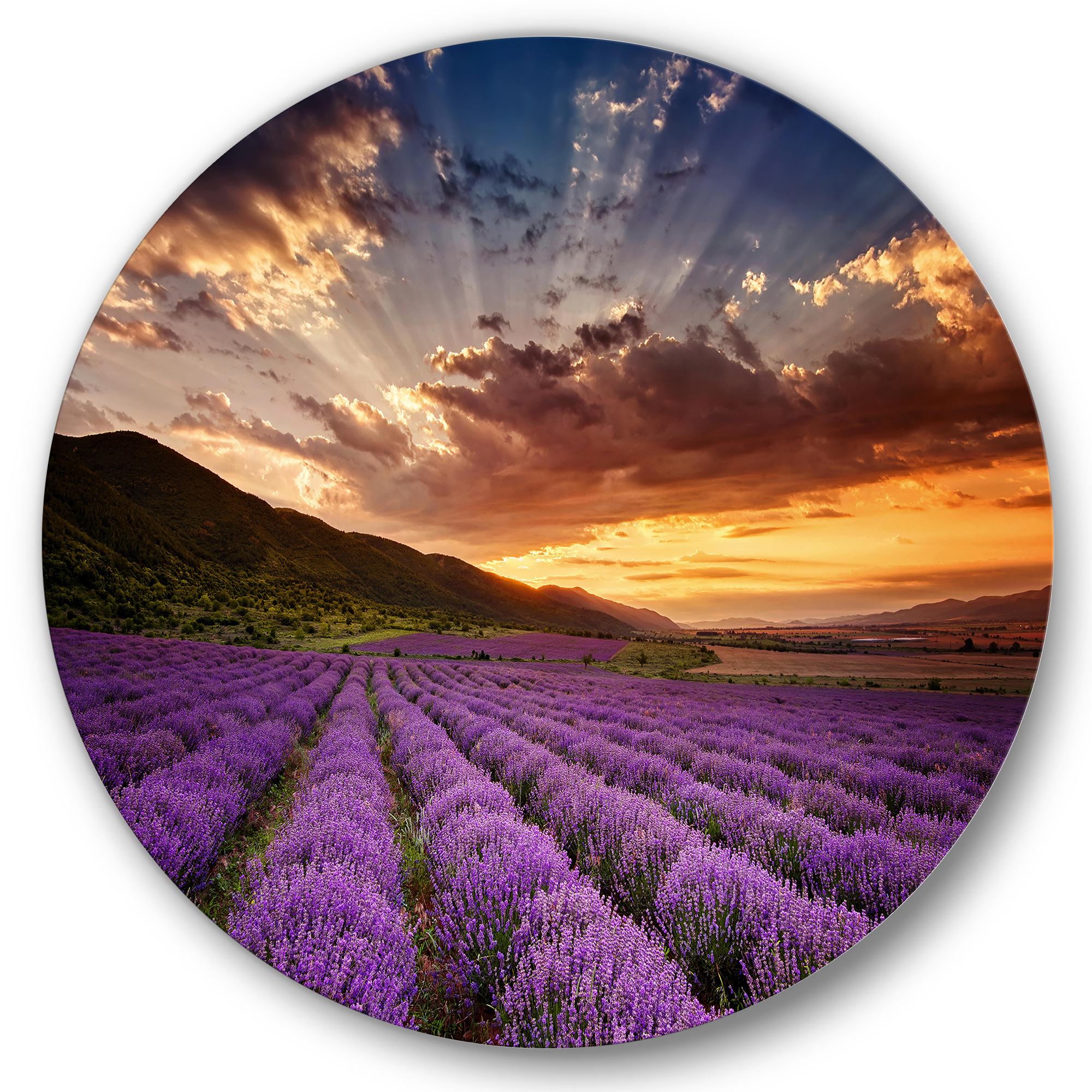 Designart - Sunrise &#x26; Dramatic Clouds Over Lavender Field X - Farmhouse Metal Circle Wall Art