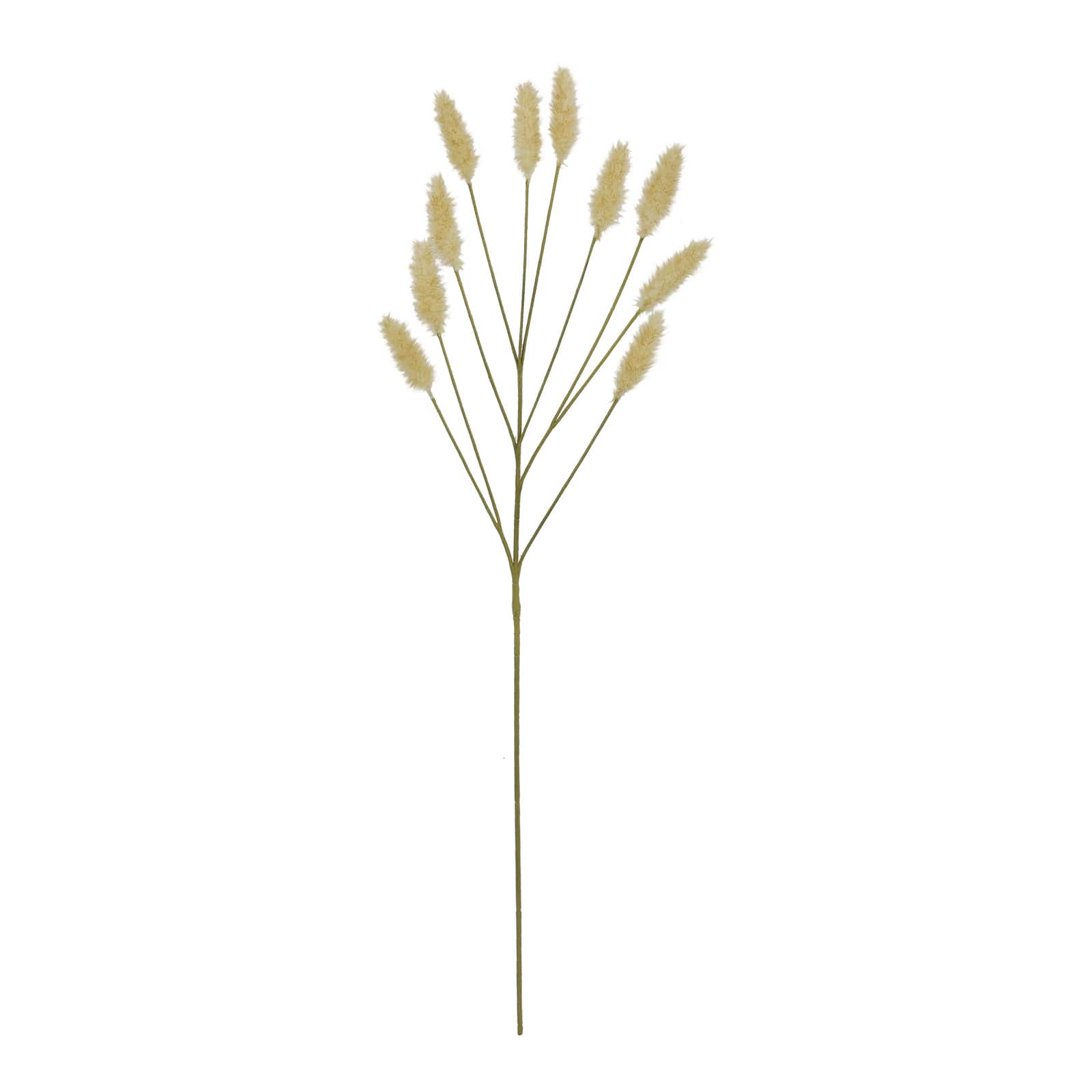 31&#x22; Toast Bunny Tail Grass Stem by Ashland&#xAE;