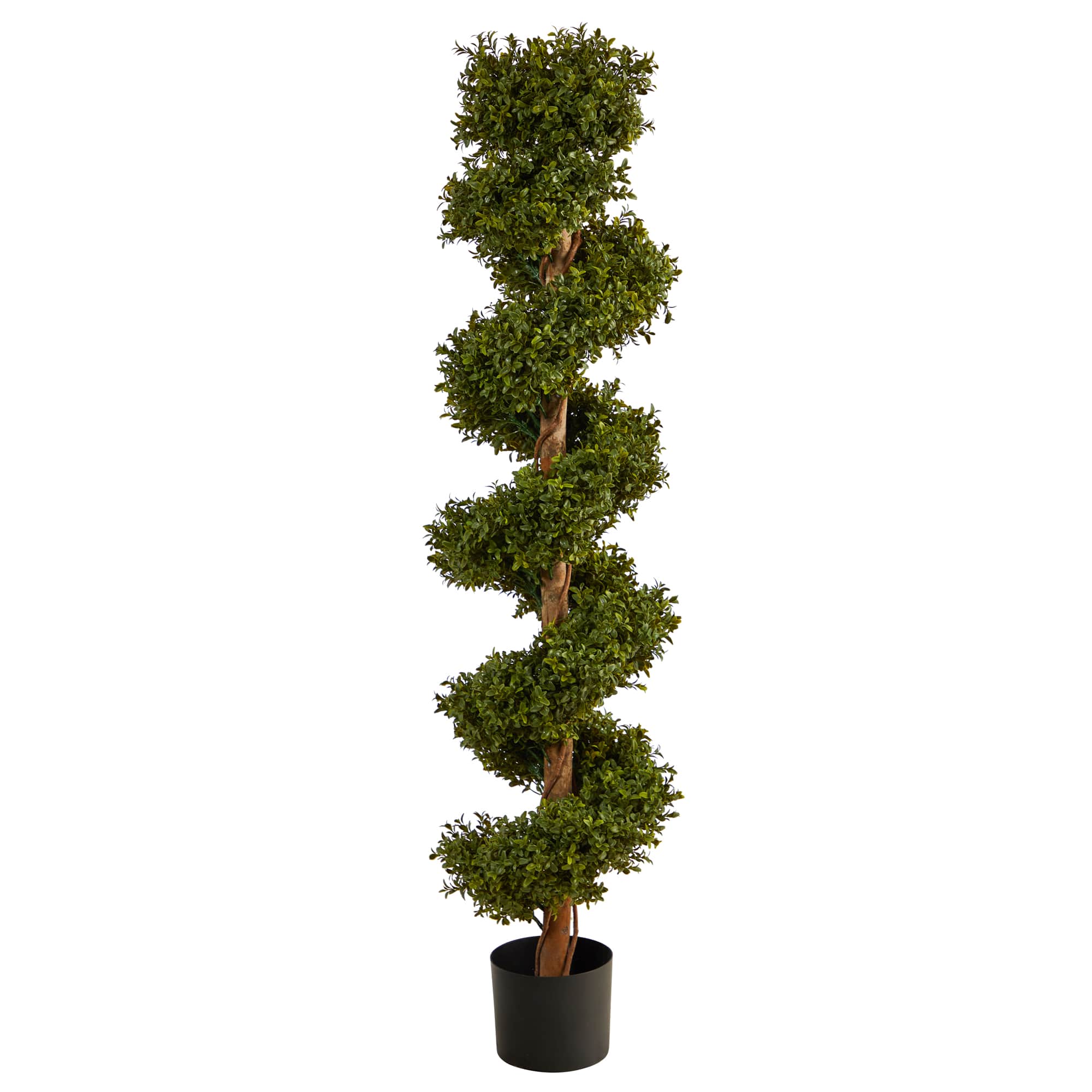 5ft. Potted UV Resistant Spiral Boxwood Topiary Tree