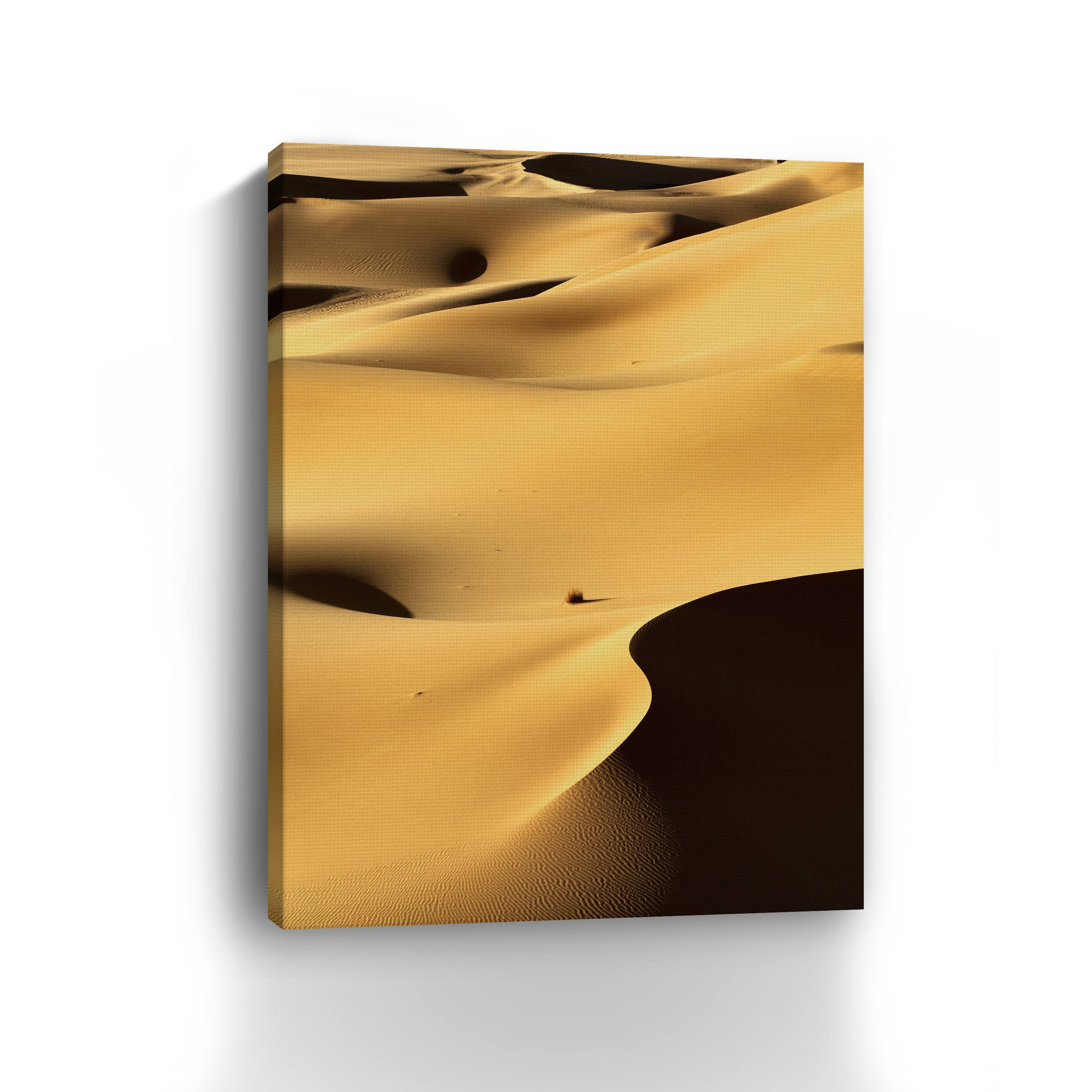 In the Dunes 1 Canvas Giclee