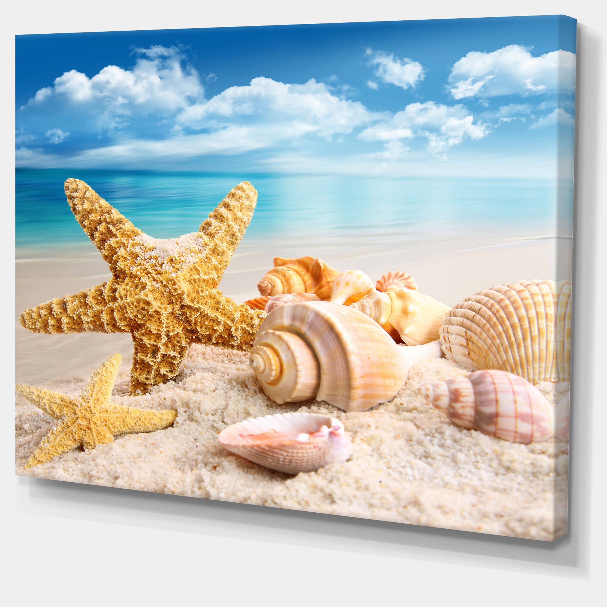 Designart - Starfish and Seashells on Beach - Seashore Photo Canvas Art Print