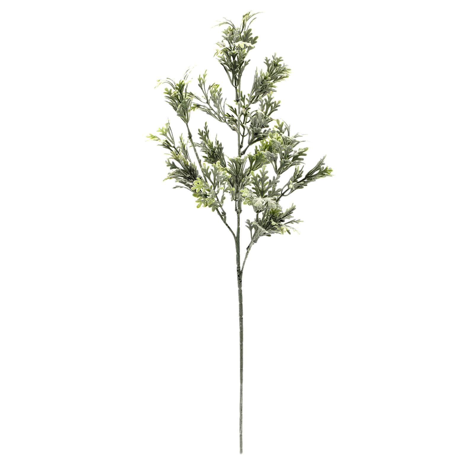 Shop for the Frosted Dusty Miller Stem by Ashland® at Michaels
