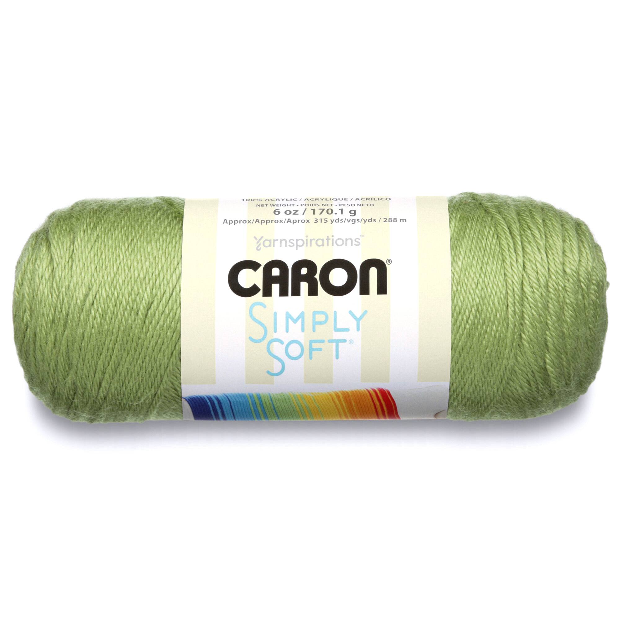 Caron® Simply Soft® Solid Yarn