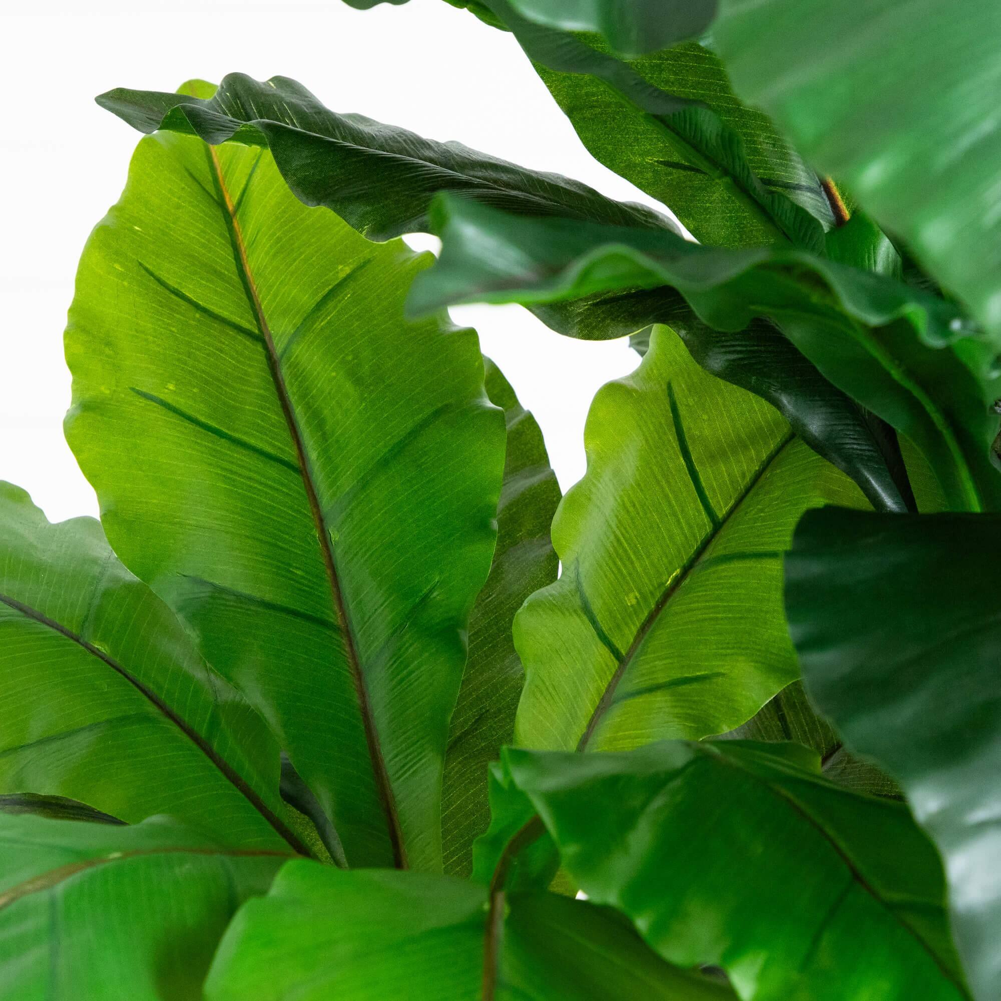 4ft. UV Resistant Artificial Bird Nest Fern Tree (Indoor/Outdoor)