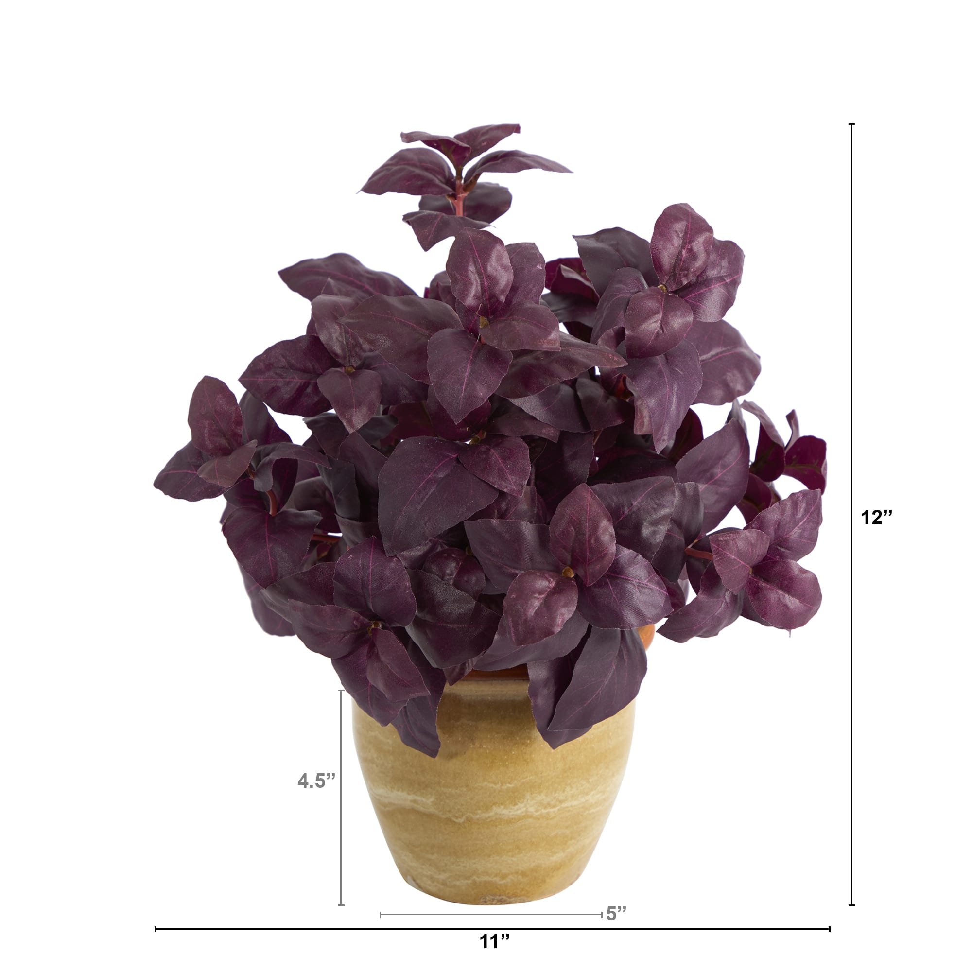 12" Basil Plant in Ceramic Planter