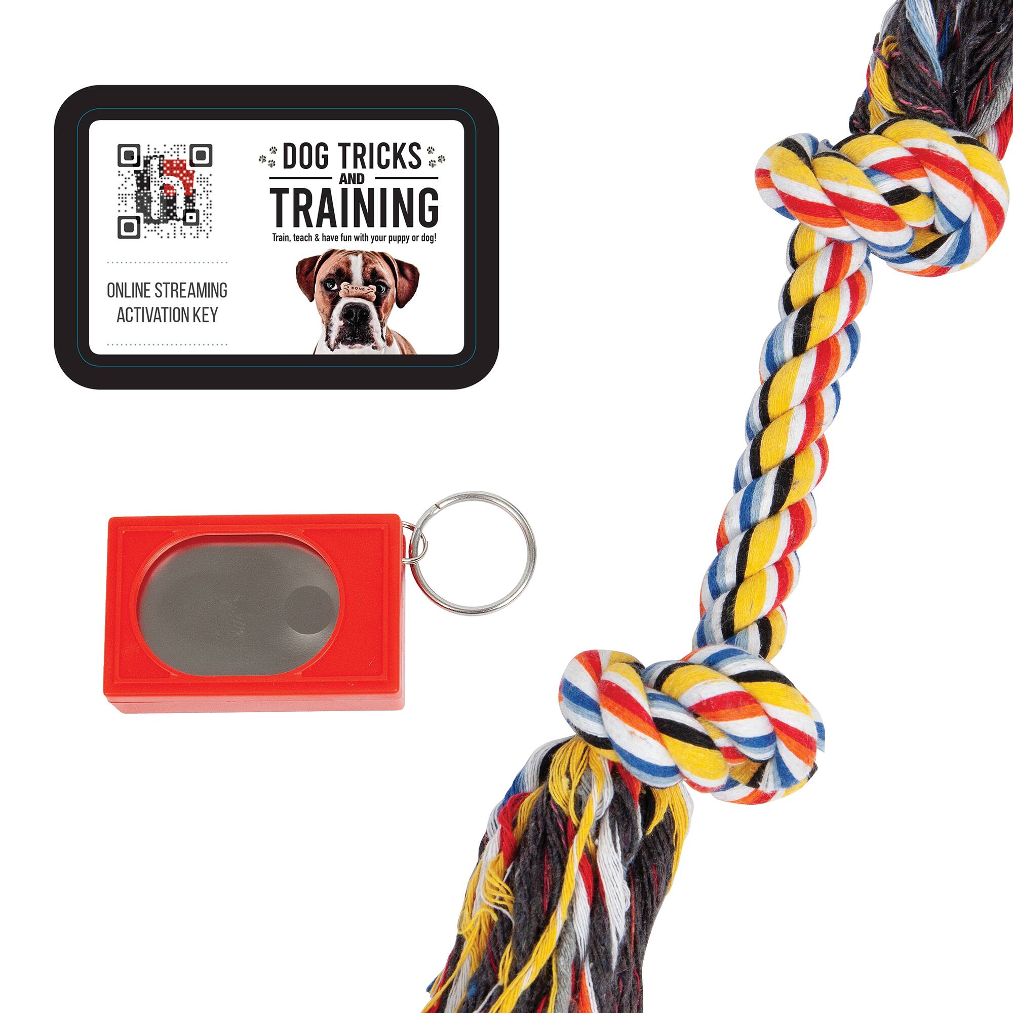 Hinkler Dog Pet Care Tricks & Training Box Set