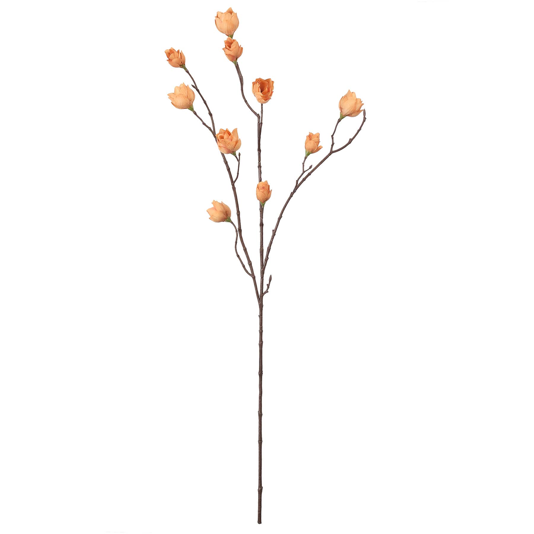 34&#x22; Peach Hops Stem by Ashland&#xAE;