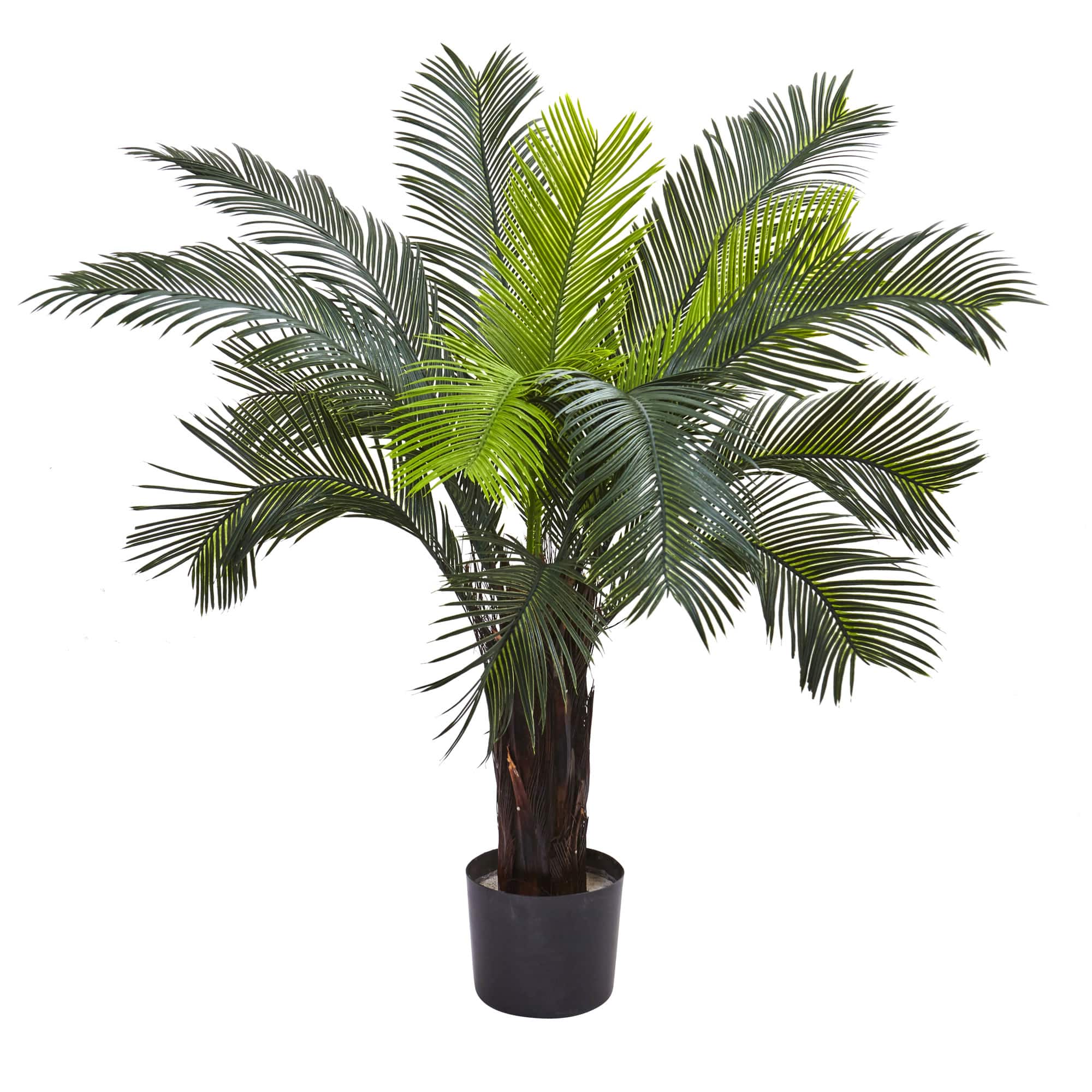 3ft. Potted UV Resistant Cycas Tree