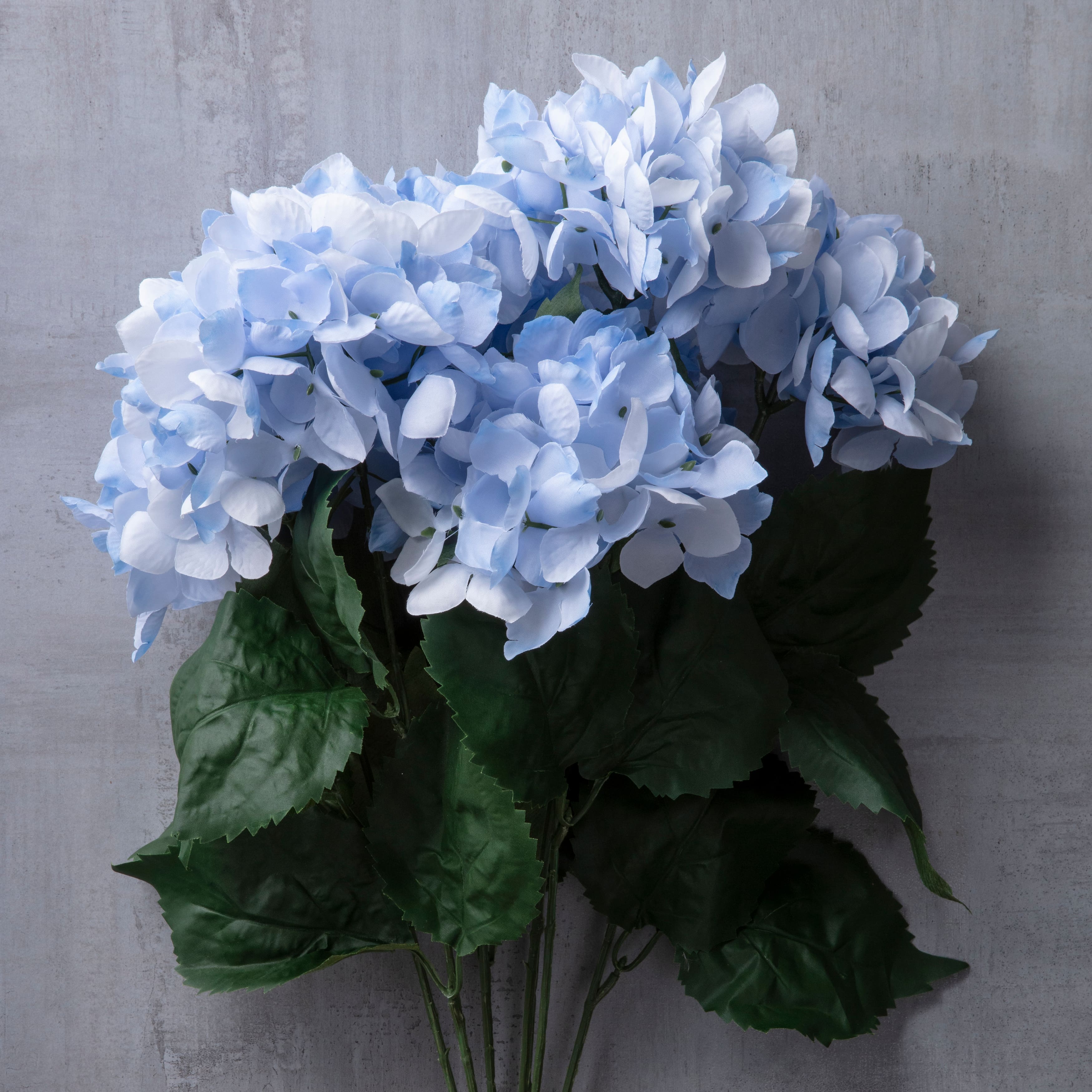 Light Blue Hydrangea Bush by Ashland®