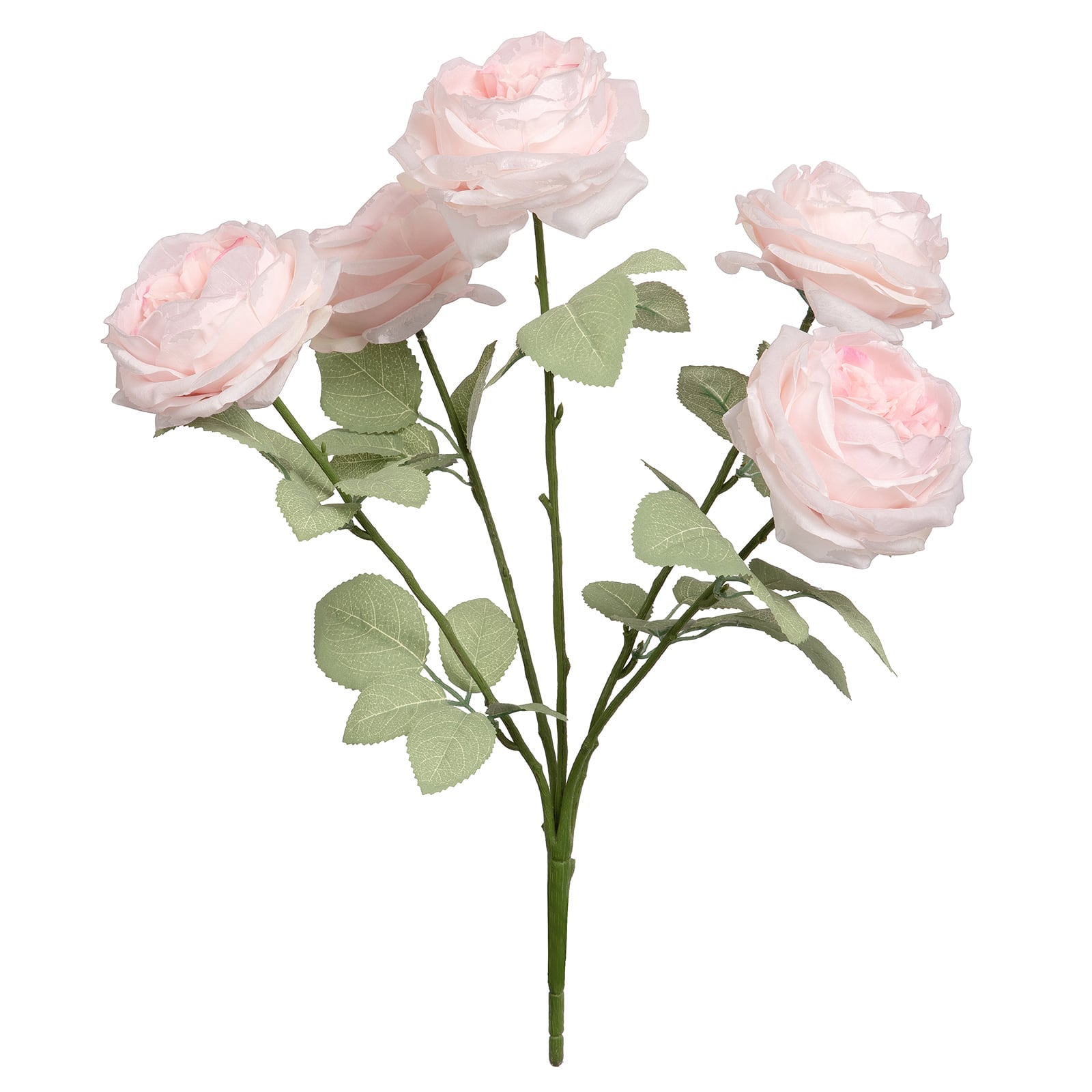 18.5" Cabbage Rose Deluxe Bush by Ashland®