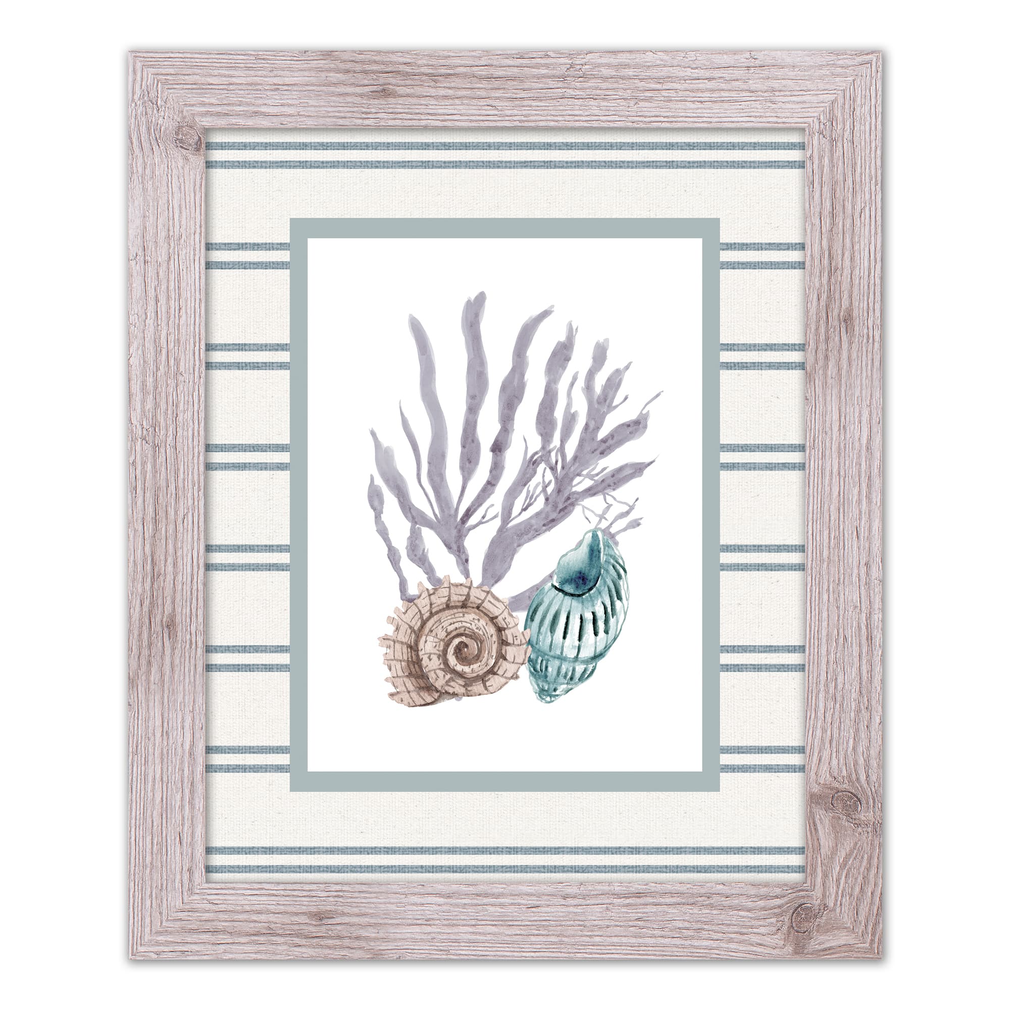 Snail & Banded Tulip Shell Western Framed Print