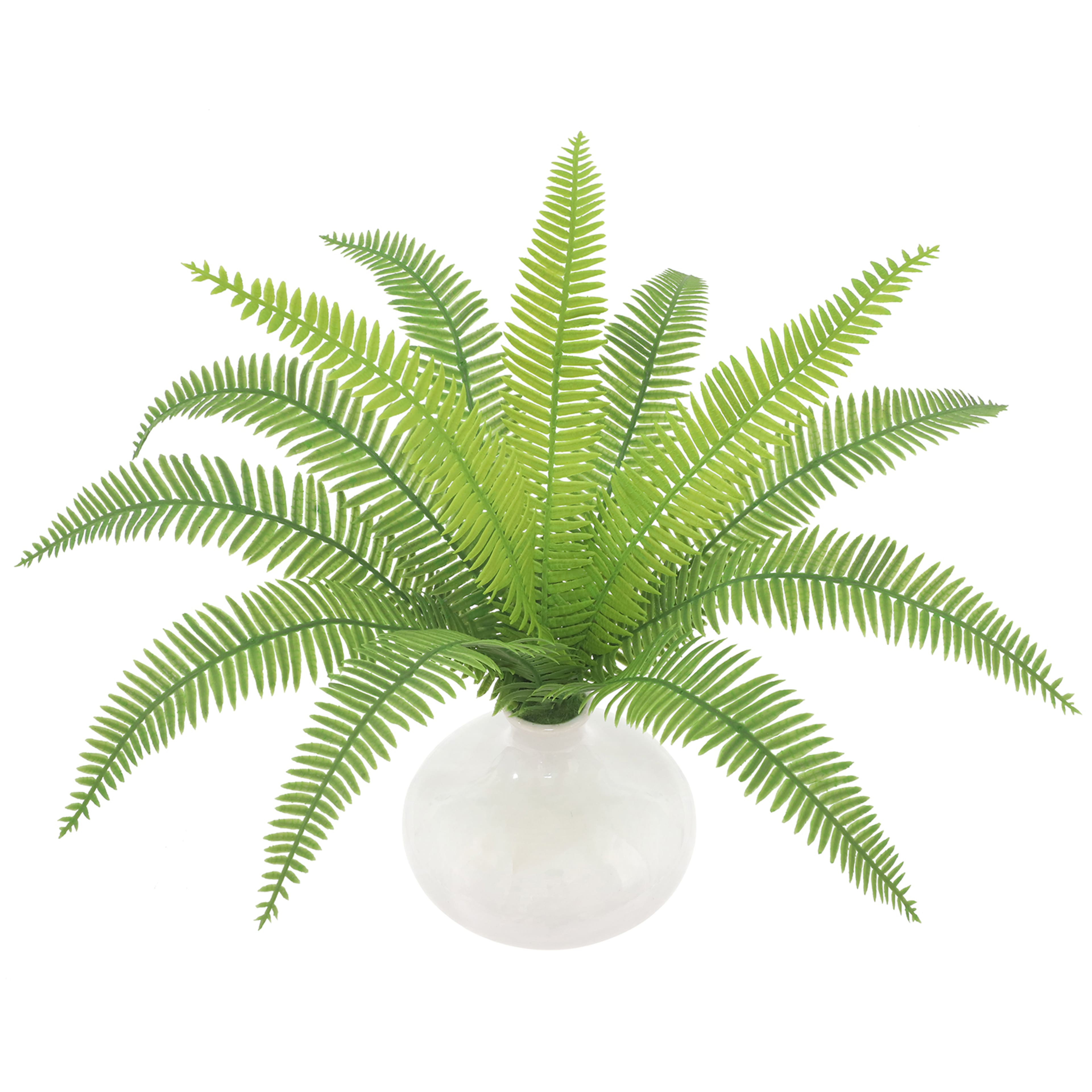 13&#x22; Feather Fern in White Ceramic Vase by Ashland&#xAE;