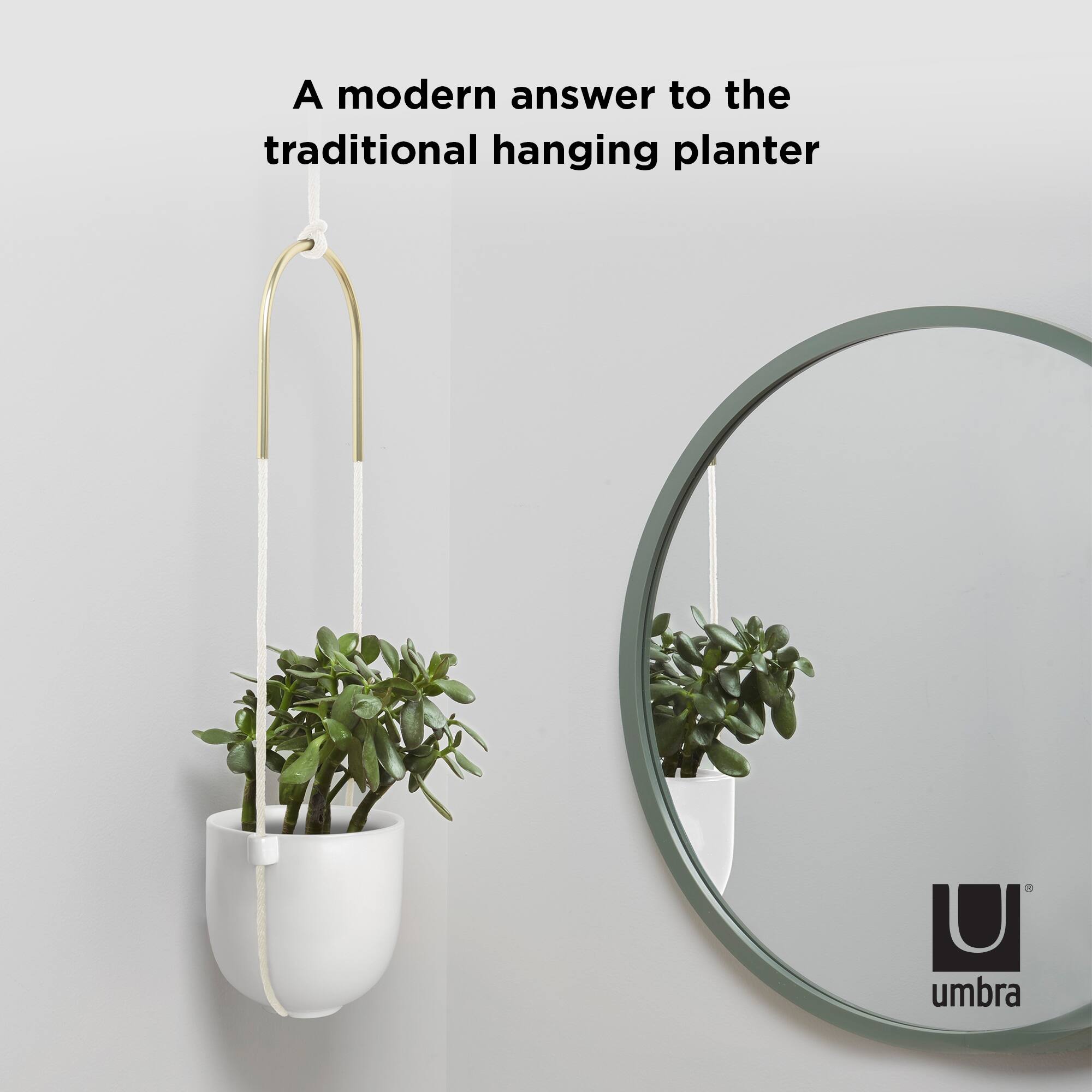 Umbra White Bolo Hanging Planter