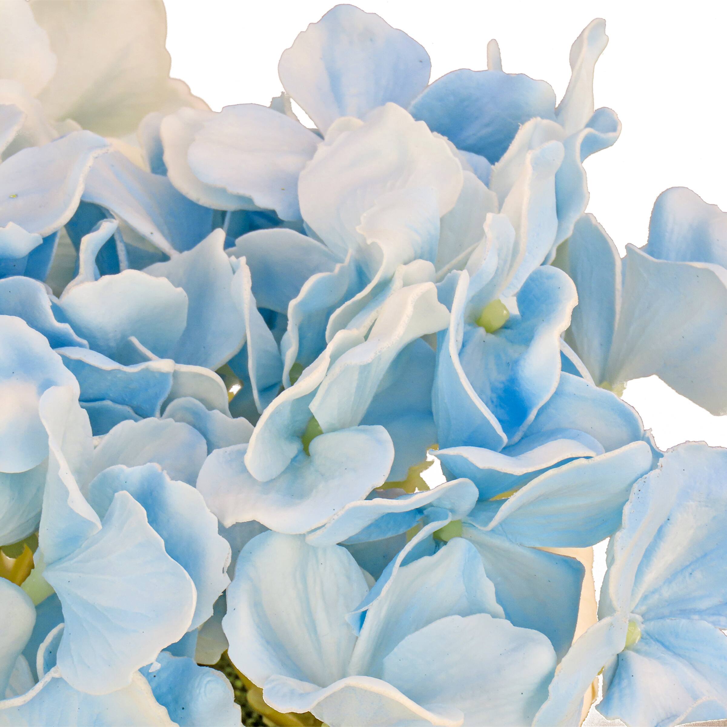 10" Hydrangea Bouquet in Natural Basket
