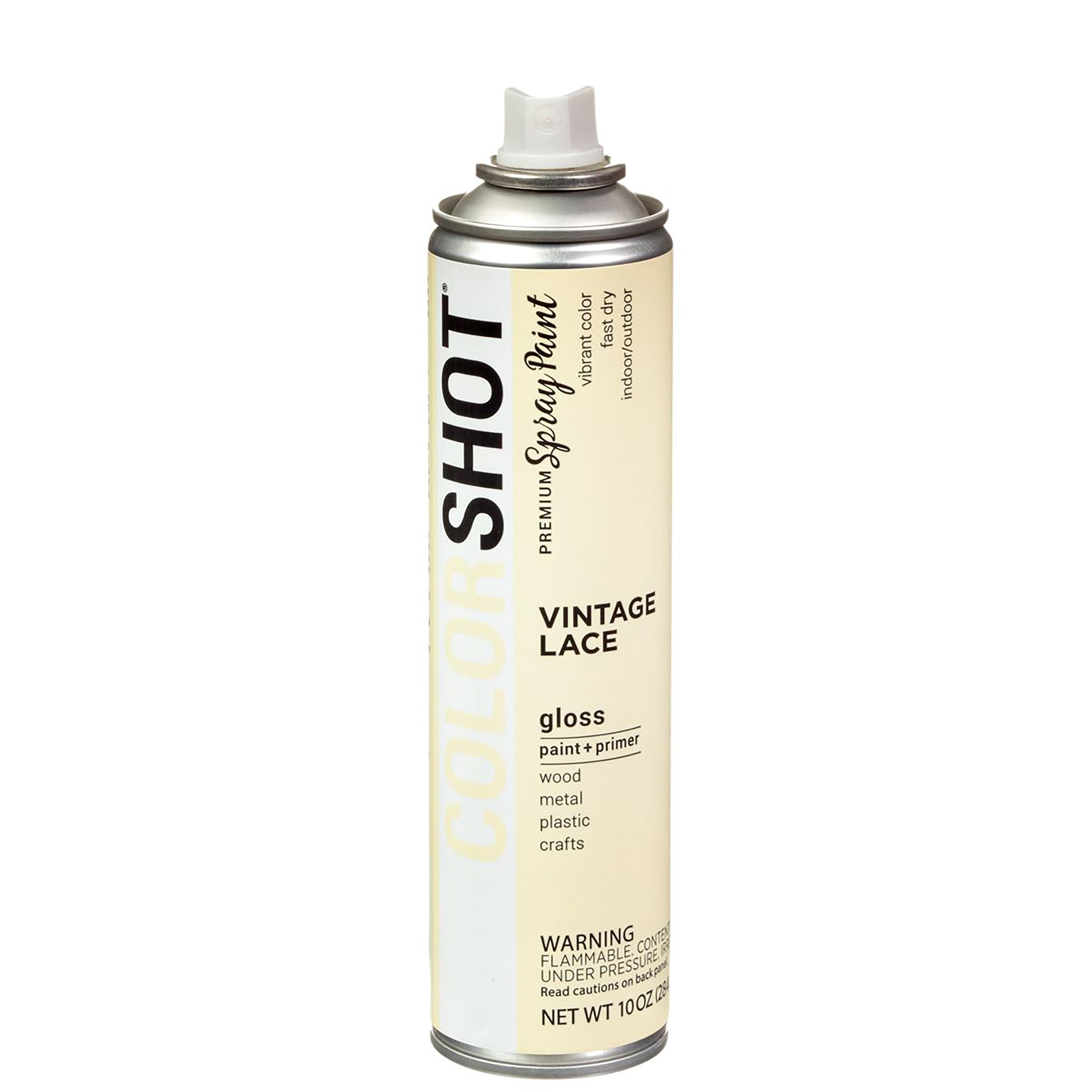 COLORSHOT&#xAE; Premium Gloss Spray Paint
