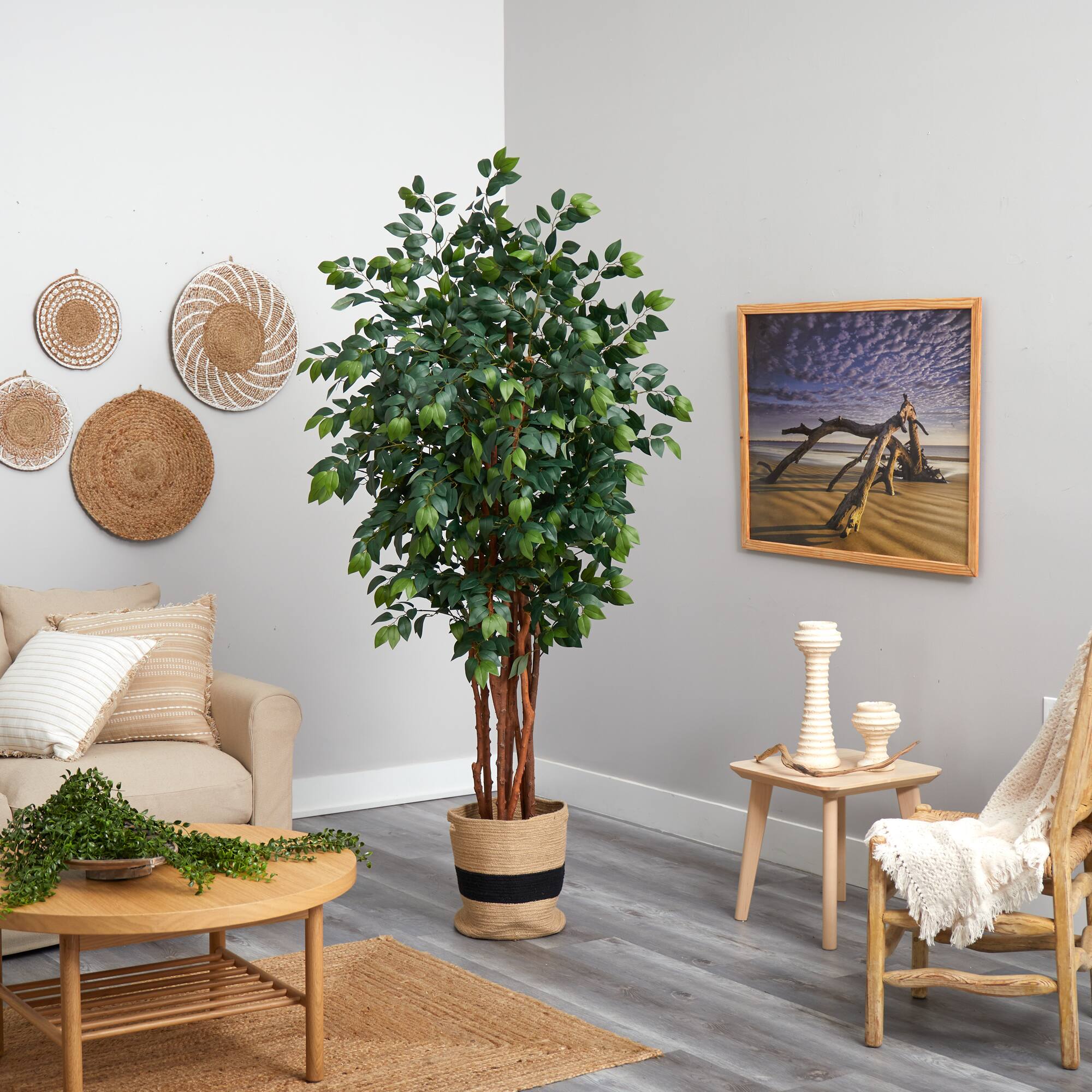 7ft. Sakaki Artificial Tree in Handmade Natural Cotton Planter