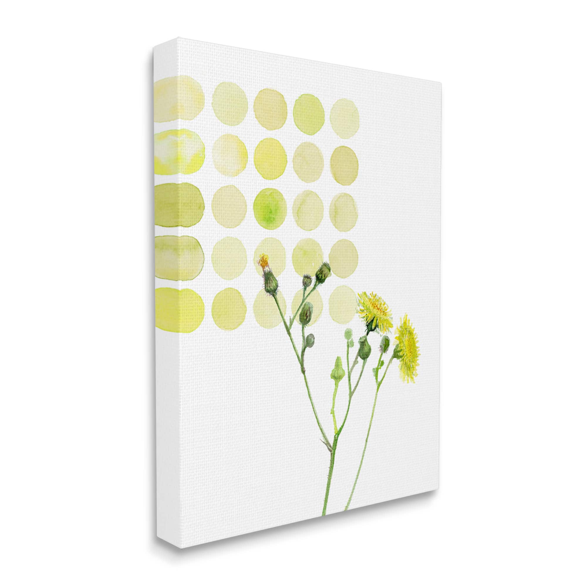 Stupell Industries Dandelion Flowers under Abstract Summer Circles Floral Painting Canvas Wall Art