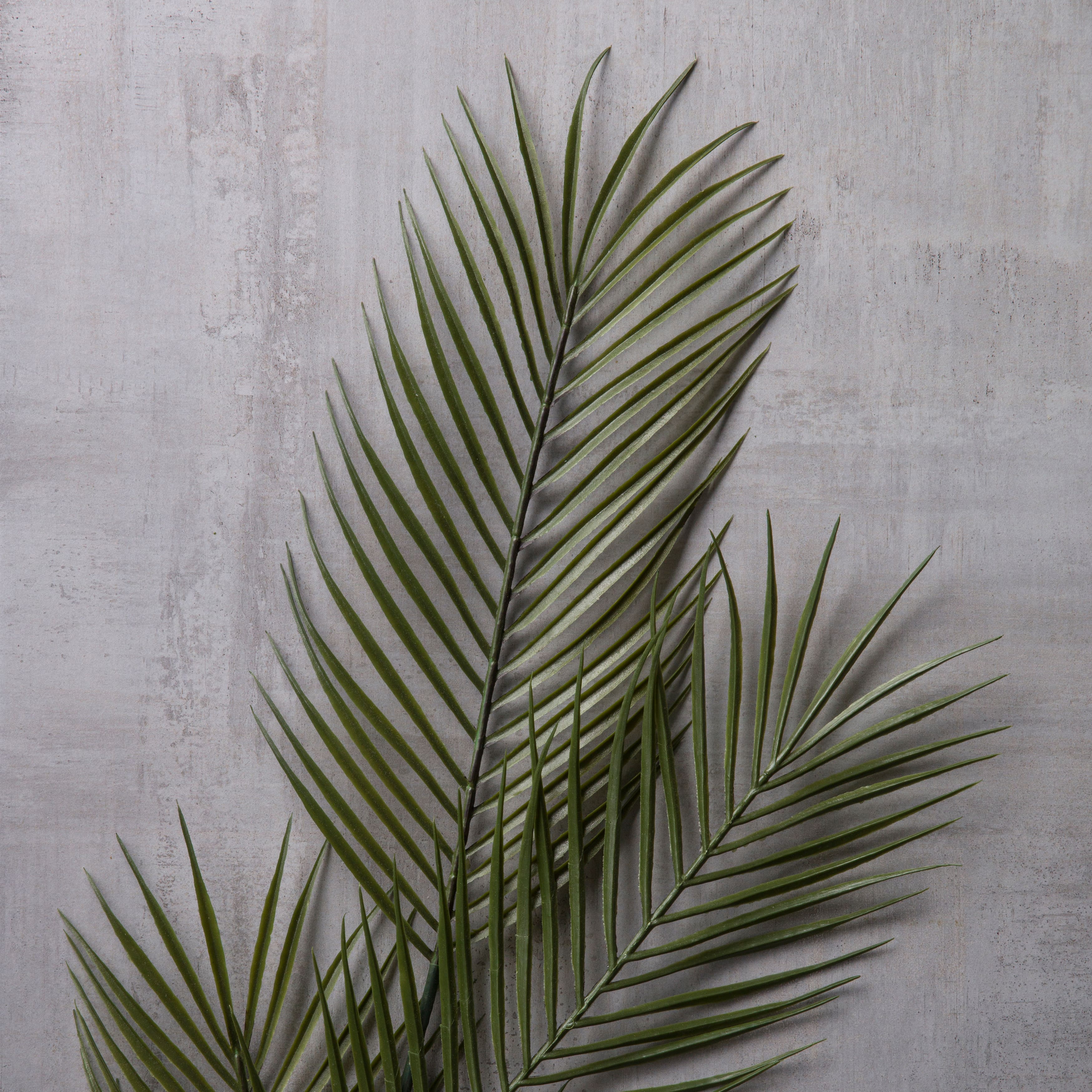 Tropical Areca Palm Stem by Ashland®