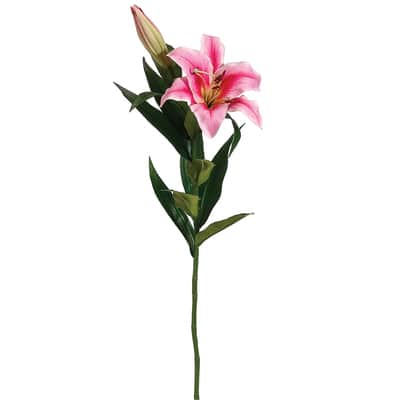 Rubrum Pink Stargazer Lily Spray | Michaels