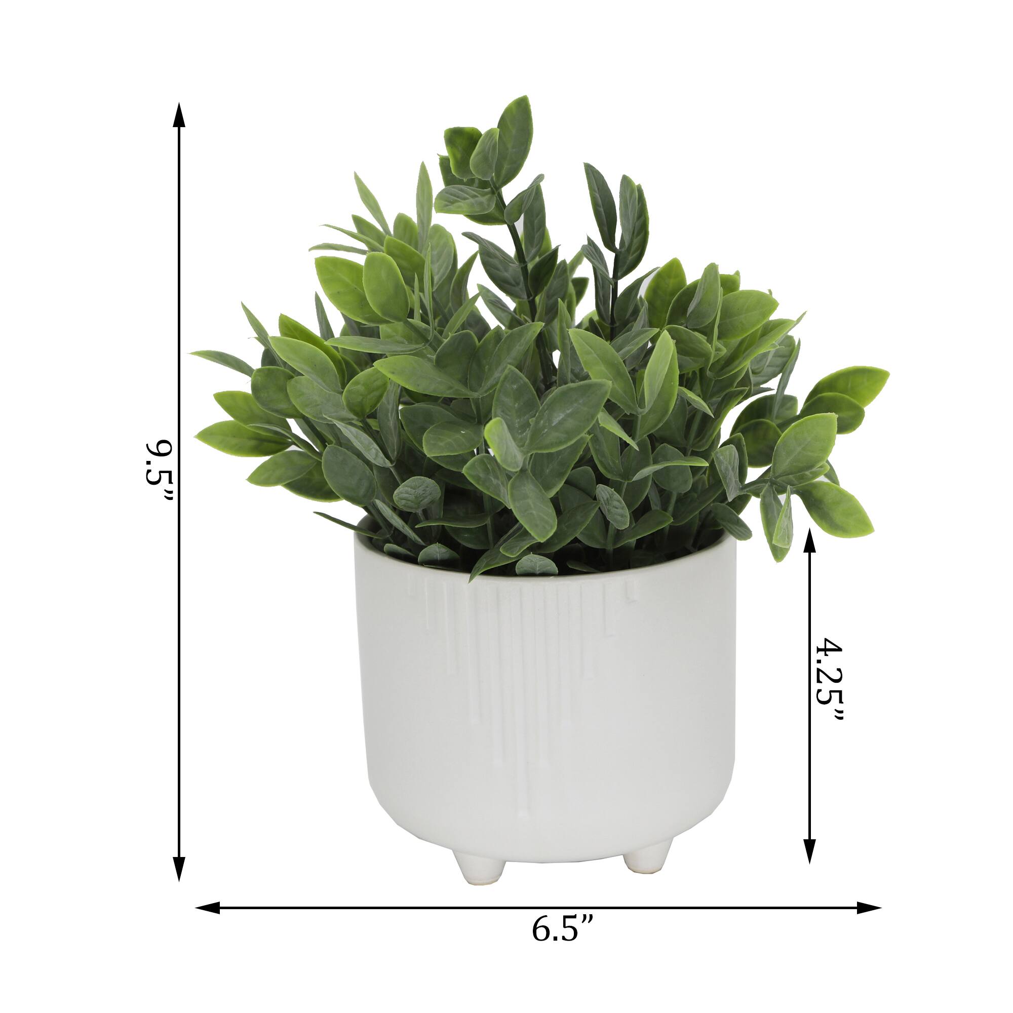 Flora Bunda&#xAE; Tea Leaf In White Cascade Footed Pot