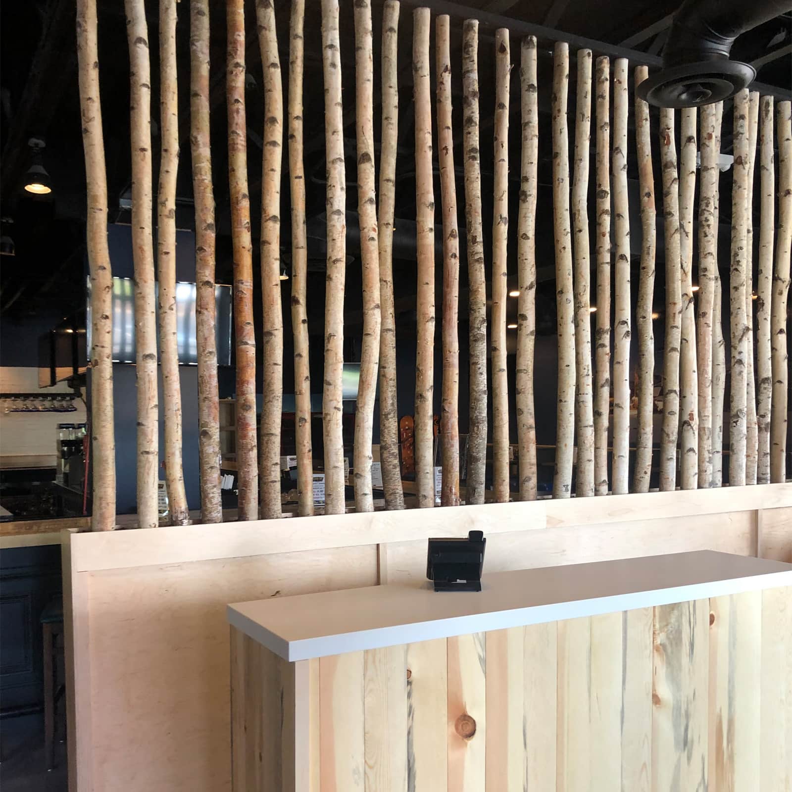 Wilson&#xAE; Enterprises White Birch Poles