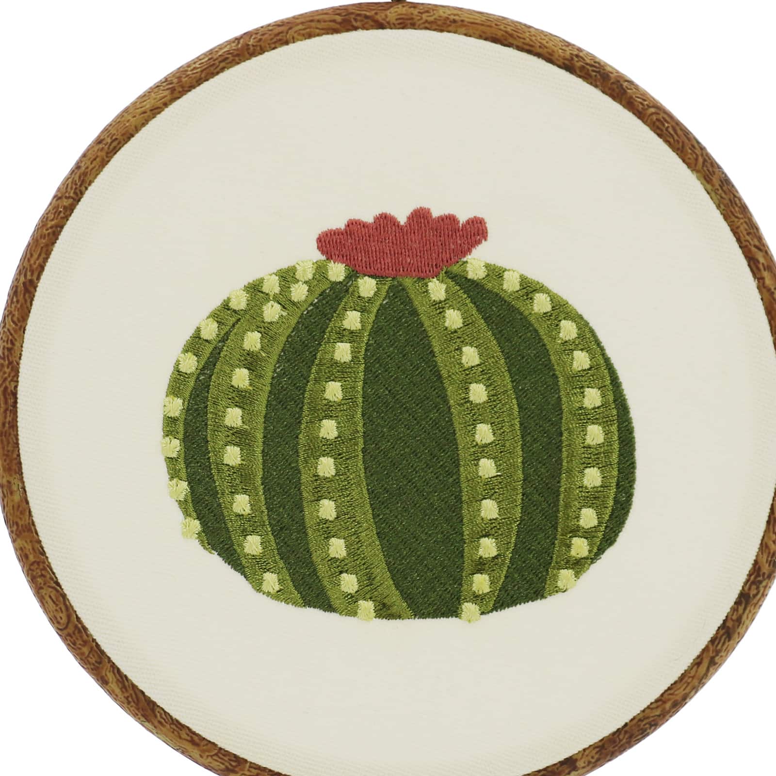 Round Cactus Embroidery Hoop Wall D&#xE9;cor by Ashland&#xAE;