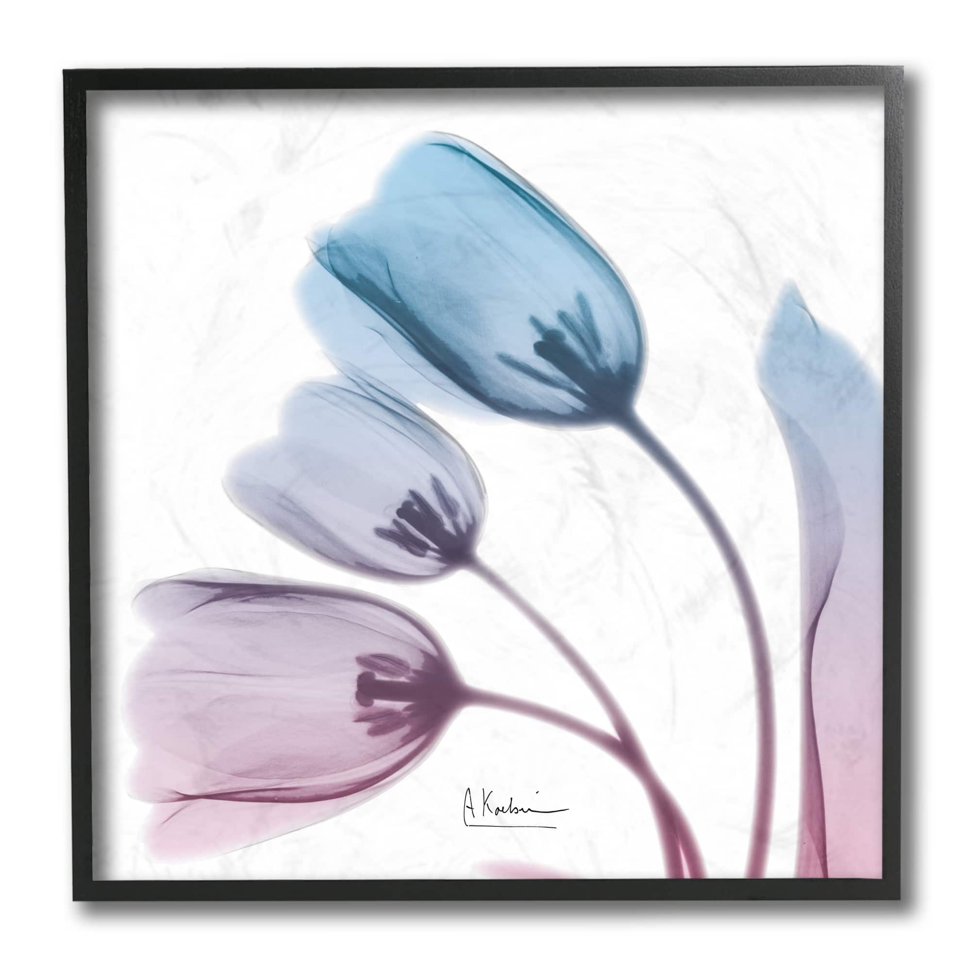 Stupell Industries Opaque Tulip Silhouette Blue Pink Photograph, 12" x 12"