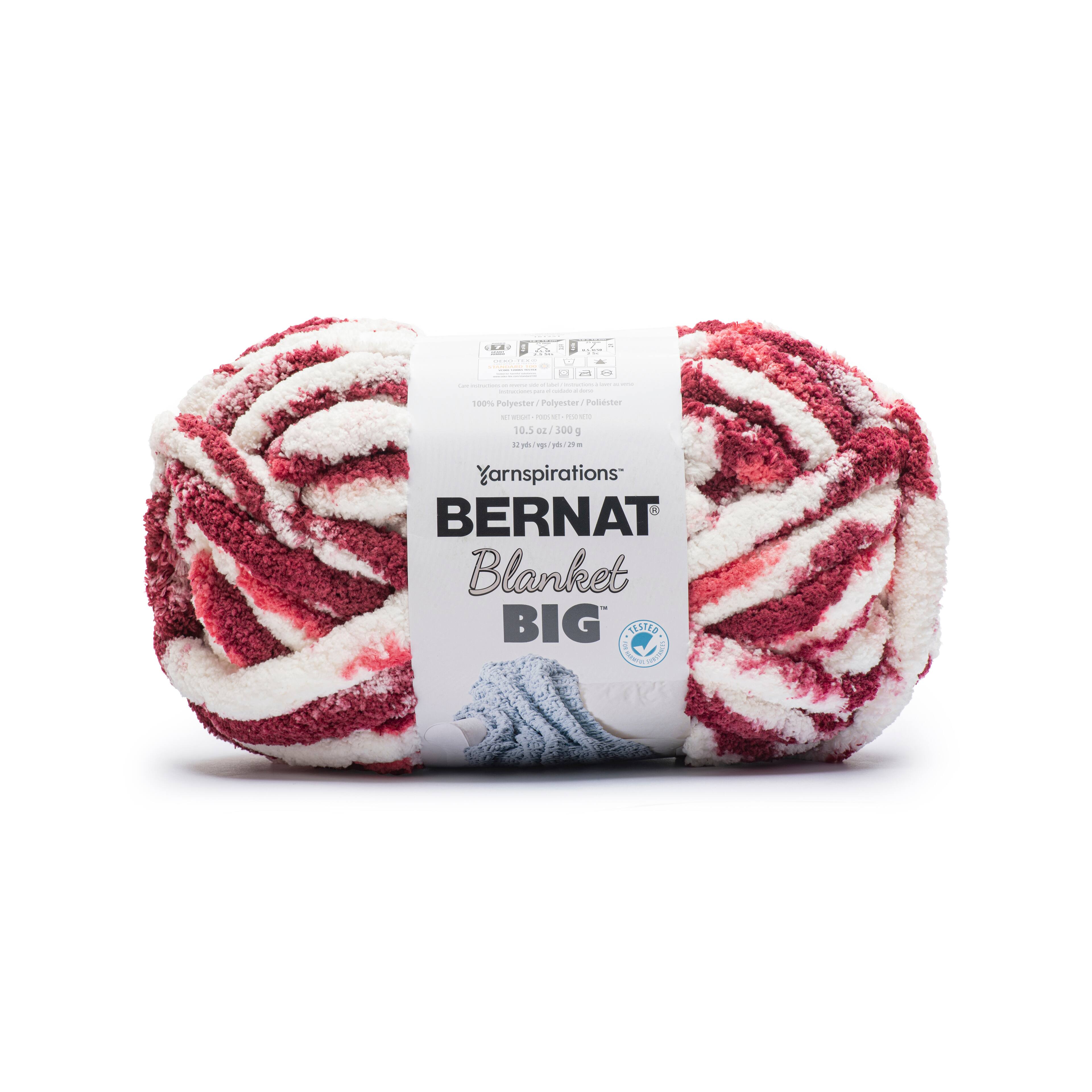 2 Count Bernat 10.5 Oz Big Blanket Color By Nature 26113 French Vanill -  beyond exchange