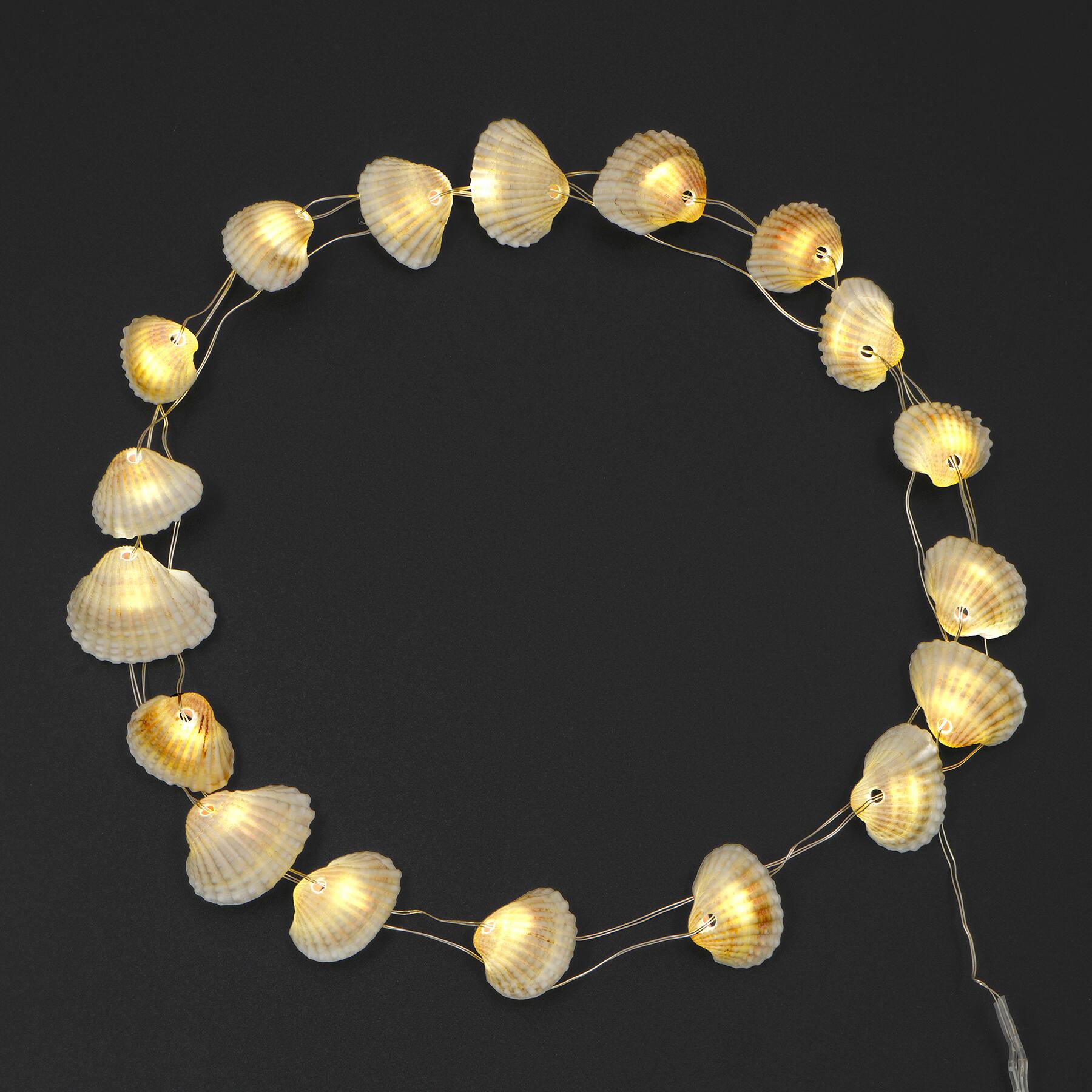 18ct. Shell Icon Warm White LED String Lights by Ashland&#xAE;