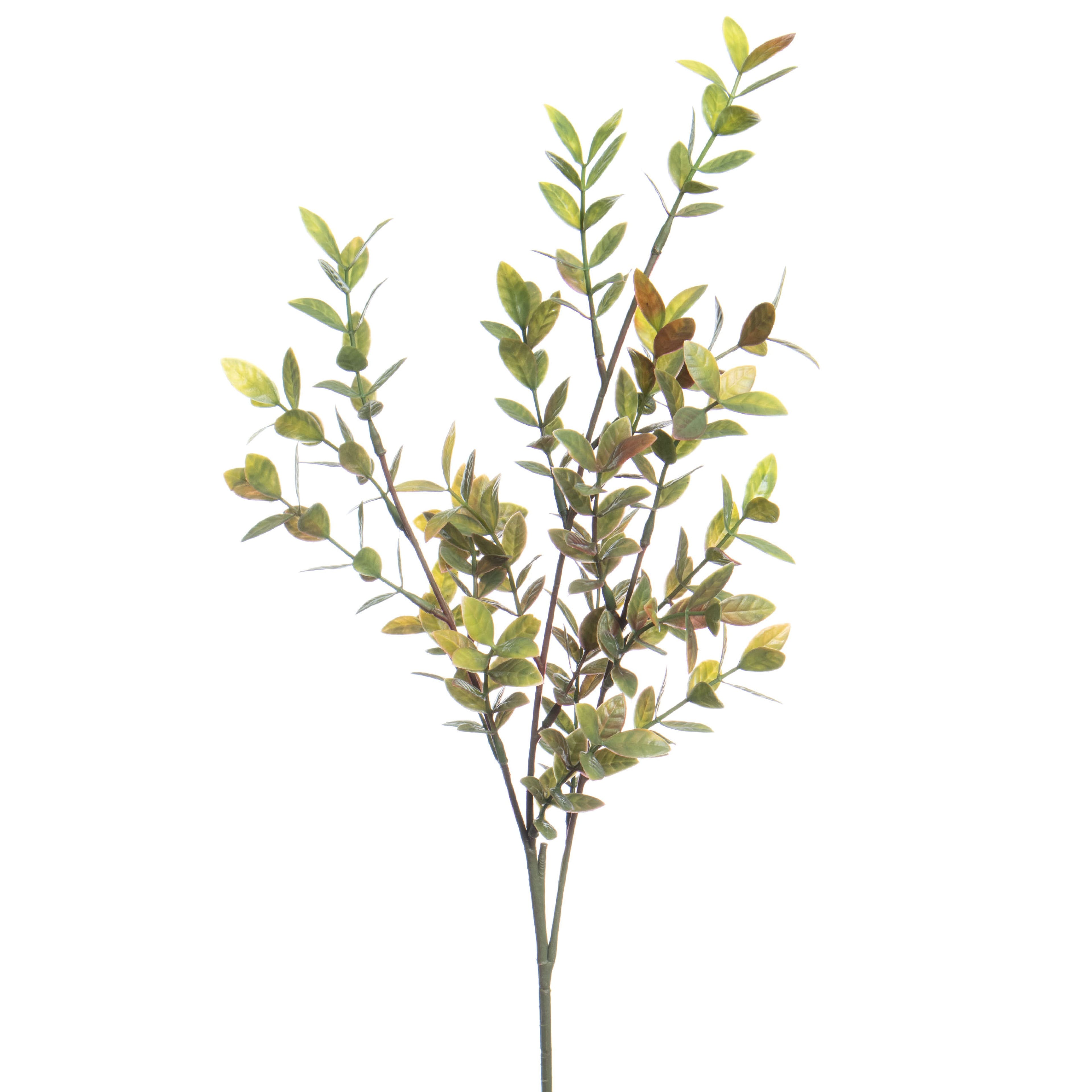 31&#x22; Green Jasmine Leaves Stem by Ashland&#xAE;