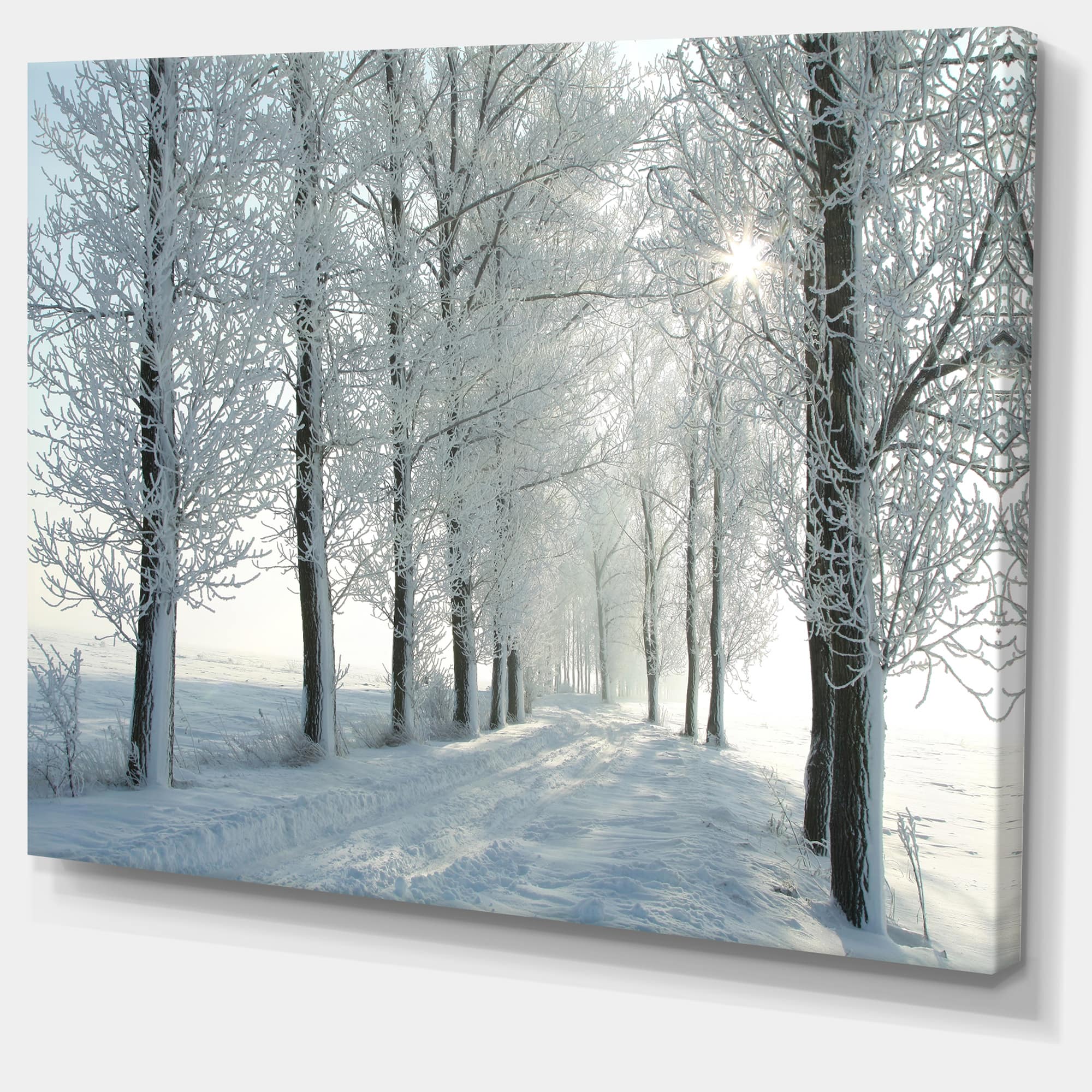 Designart - Winter Trees Backlit by Morning Sun - Large Forest Canvas Art Print