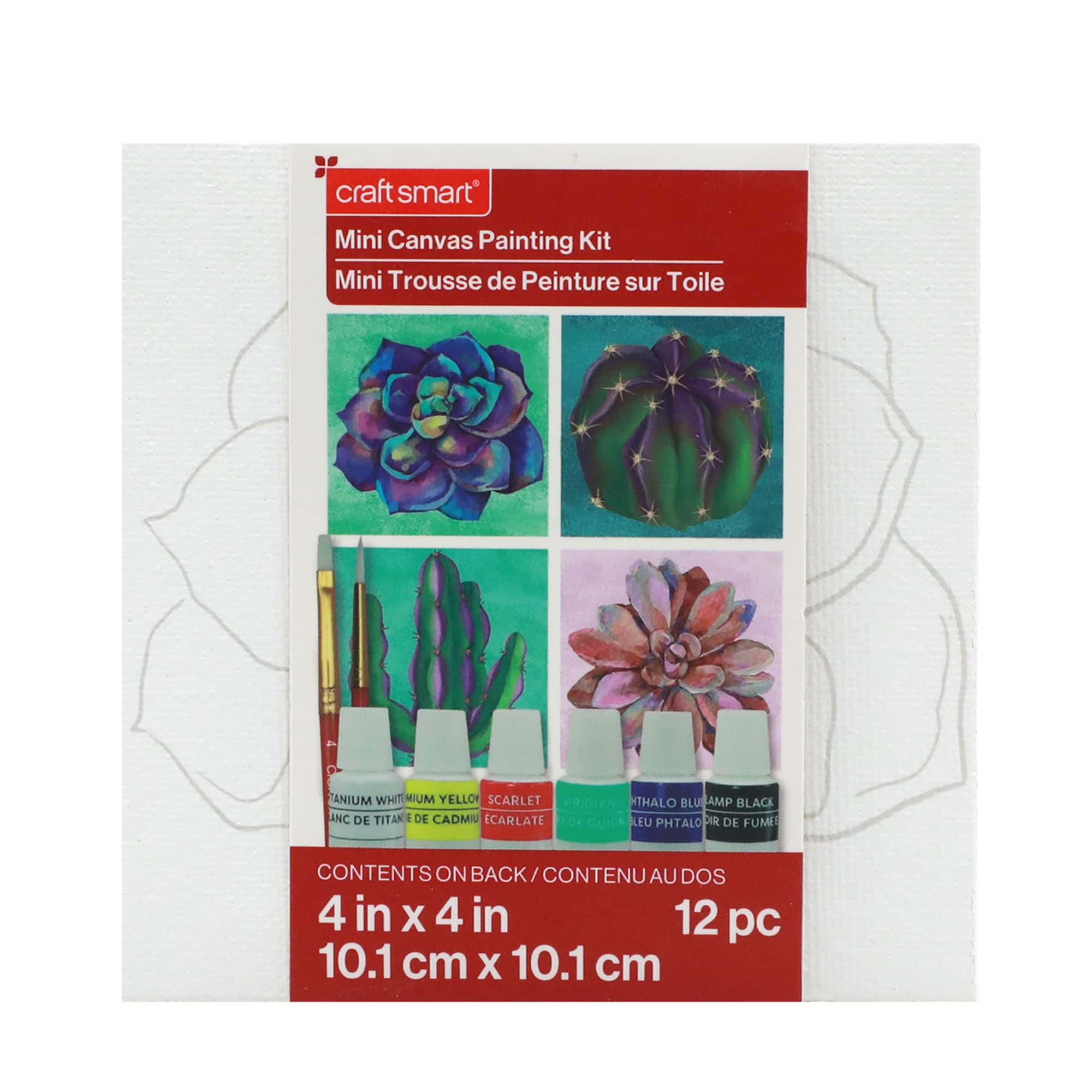 Cactus Mini Canvas Painting Kit by Craft Smart&#xAE;