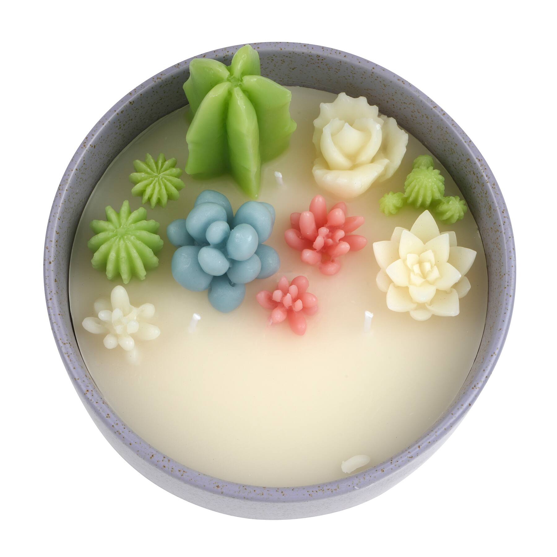 Cactus Soy Candle in Ceramic Bowl by Ashland&#xAE;