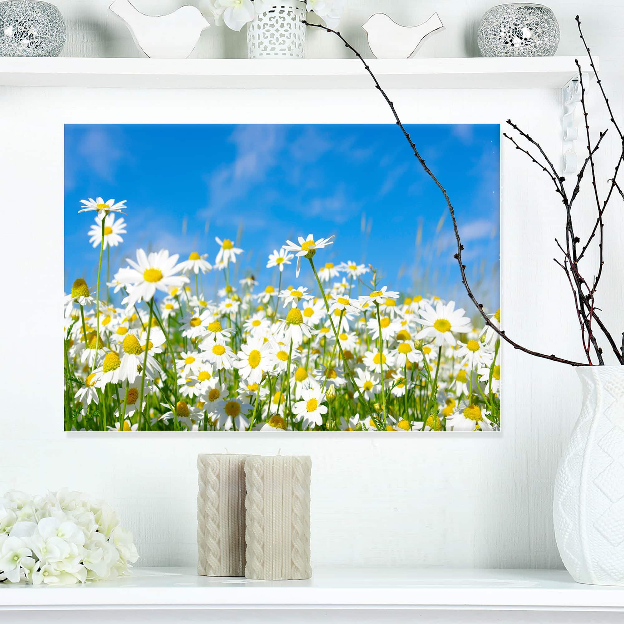 Designart - White Daisies under Bright Blue Sky - Floral Canvas Art Print