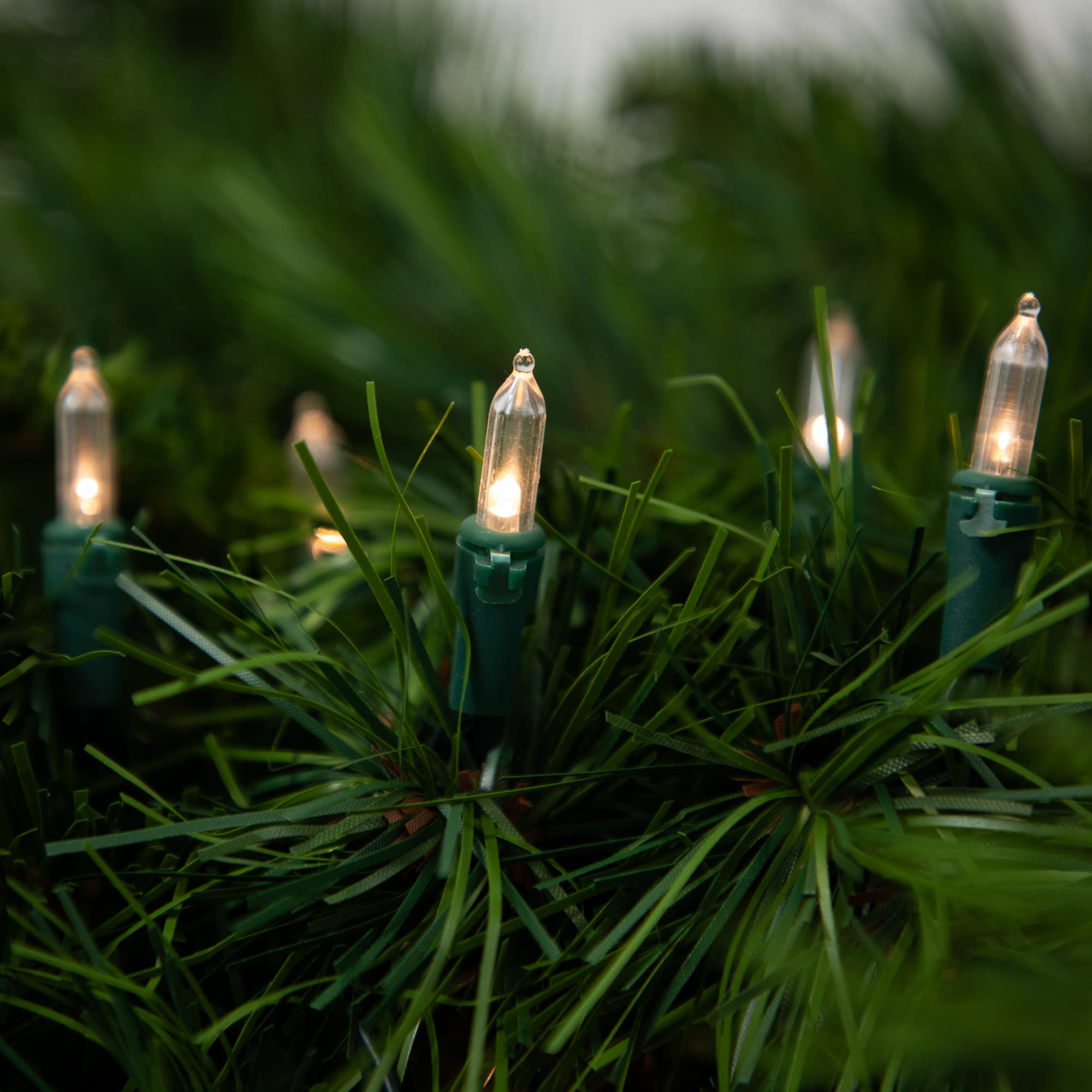 Battery Operated LED Mini Christmas Lights - Warm White - 15.75' Green Wire - 50ct